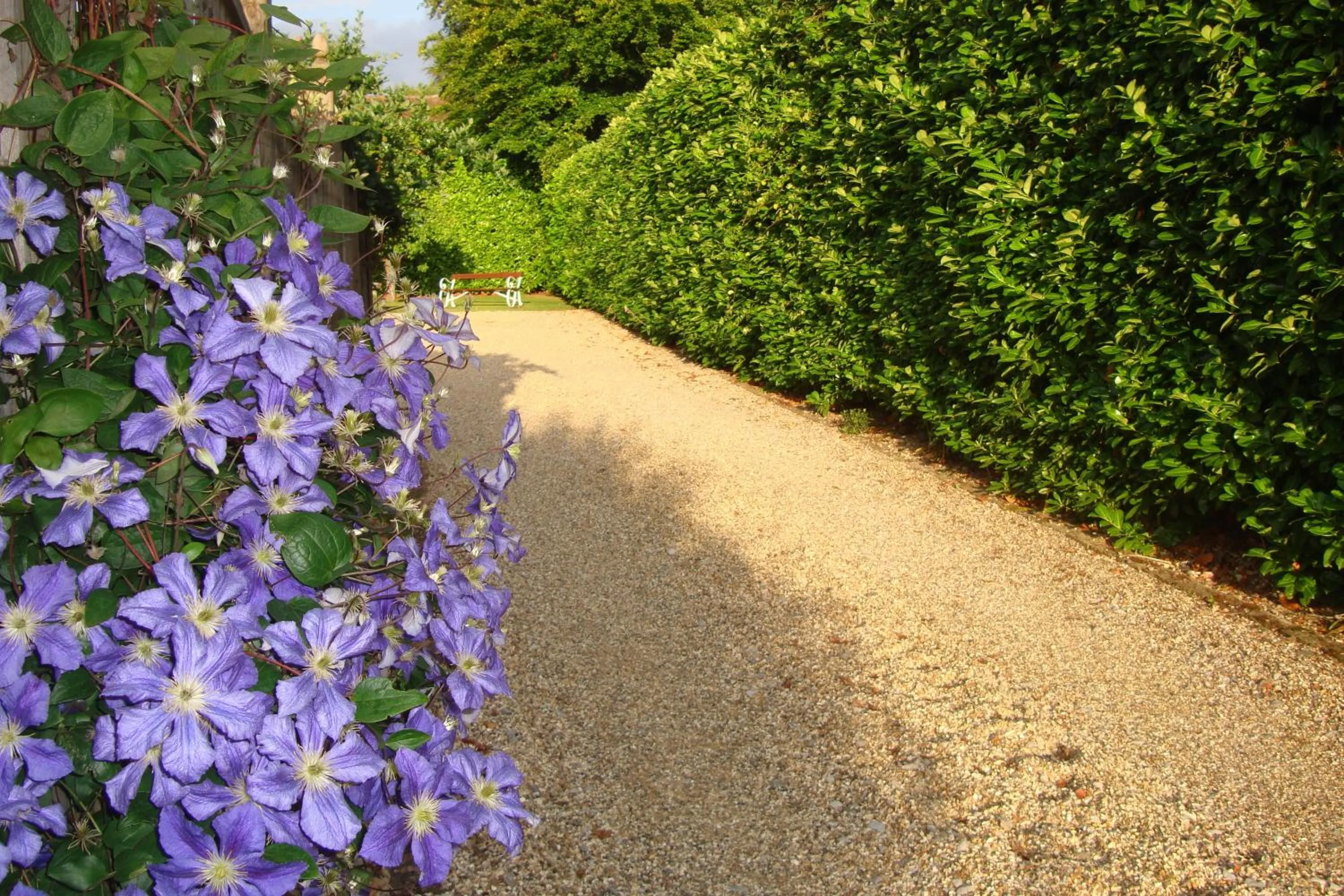 Day in Pinfield Boutique Hotel