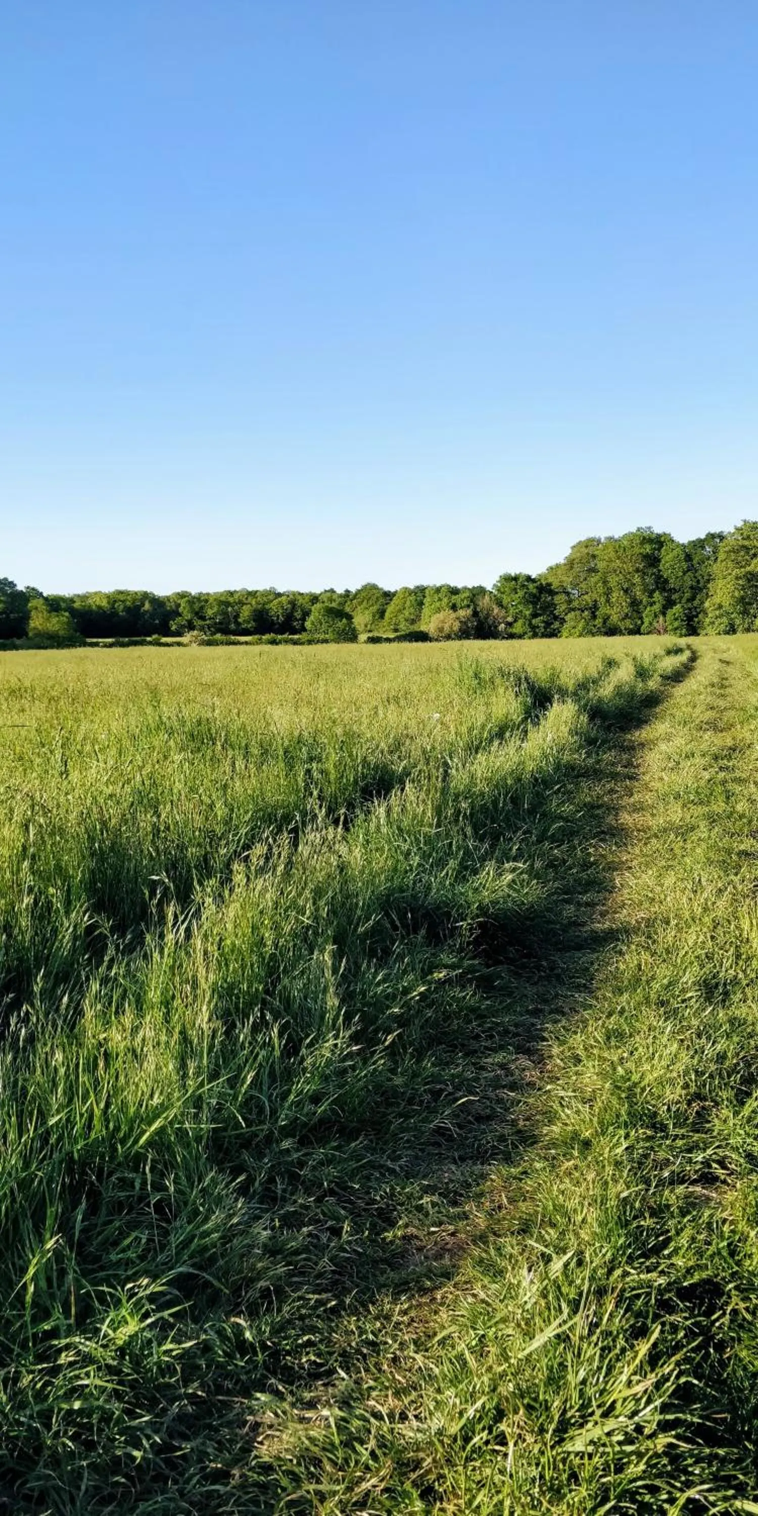 Natural landscape in Pinfield Boutique Hotel