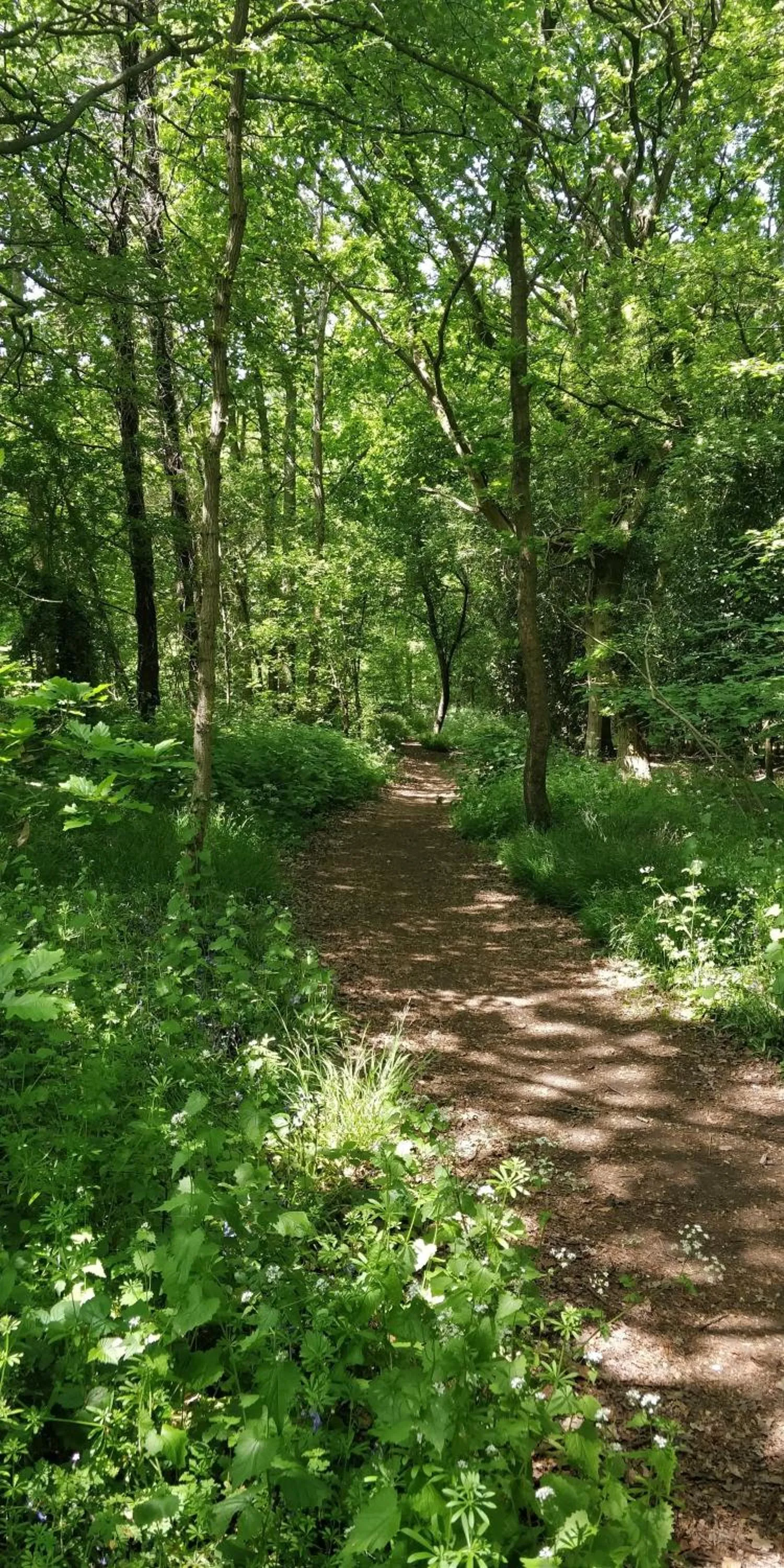 Pinfield Boutique Hotel