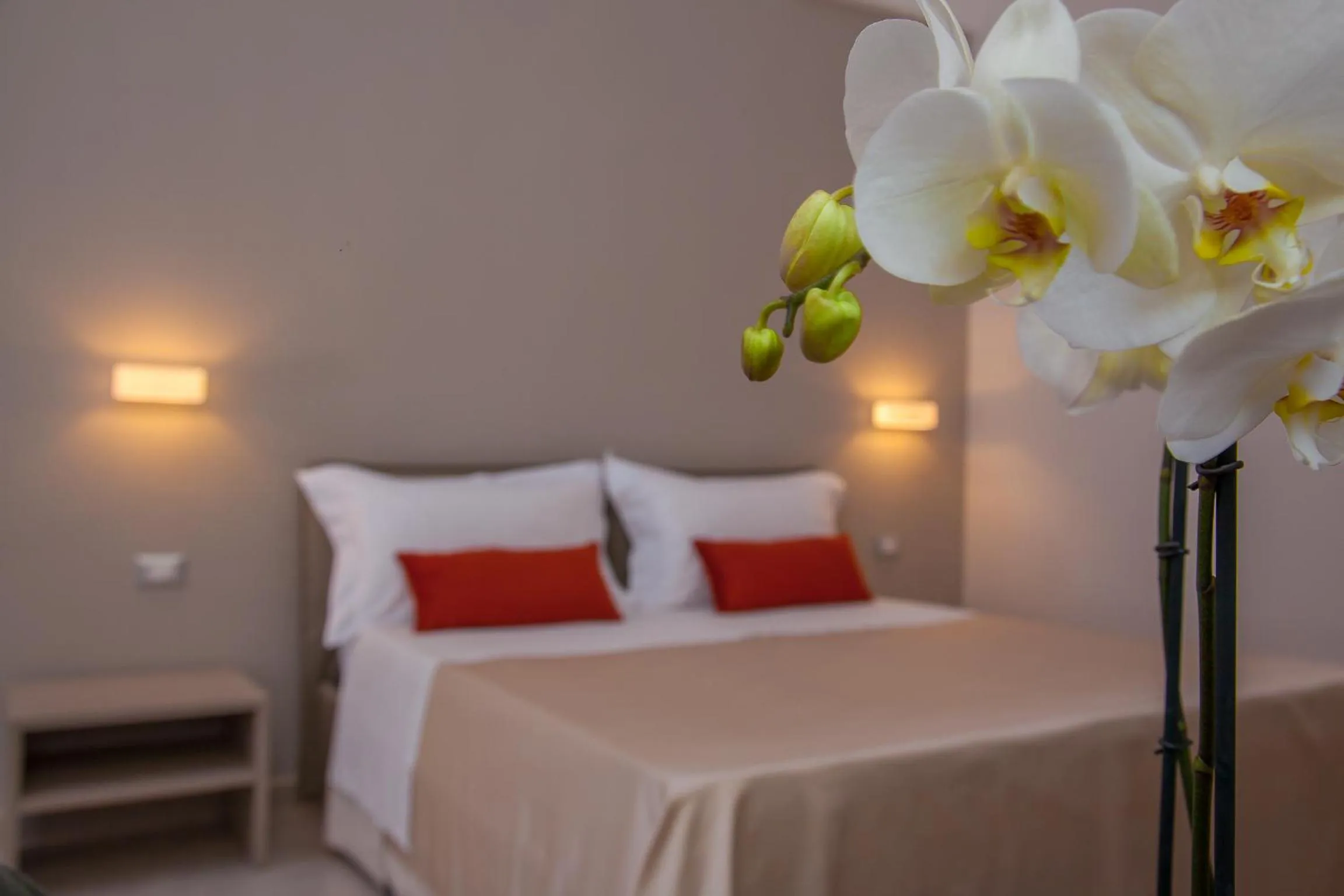 Other in Acquamarina B&b