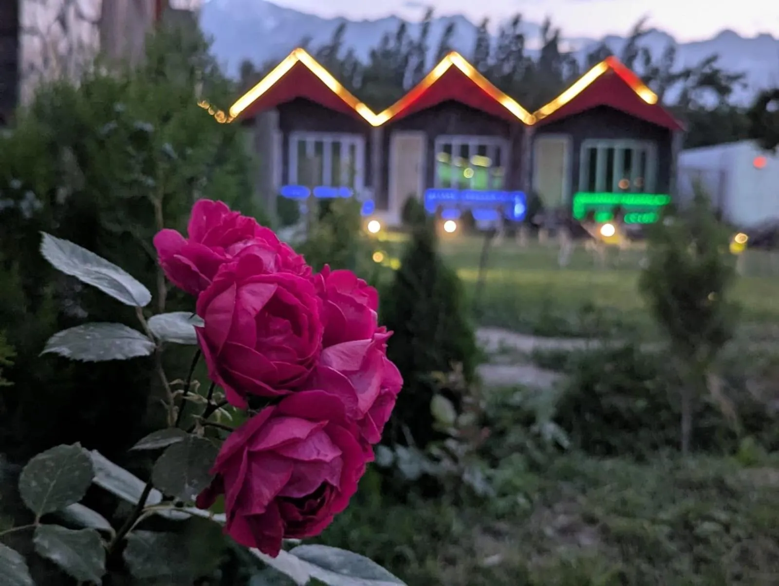 Comfort Hotel & Huts