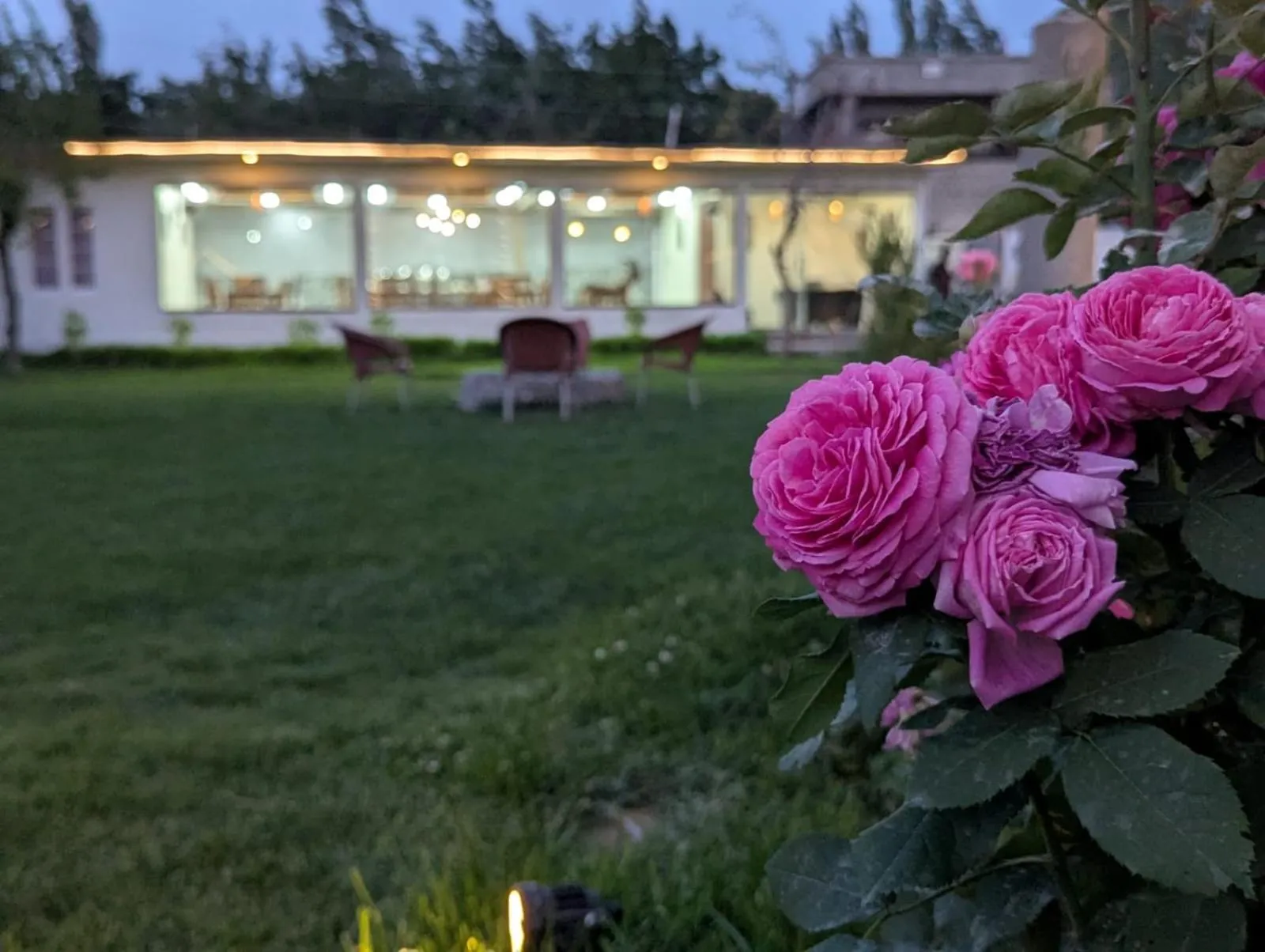 Comfort Hotel & Huts