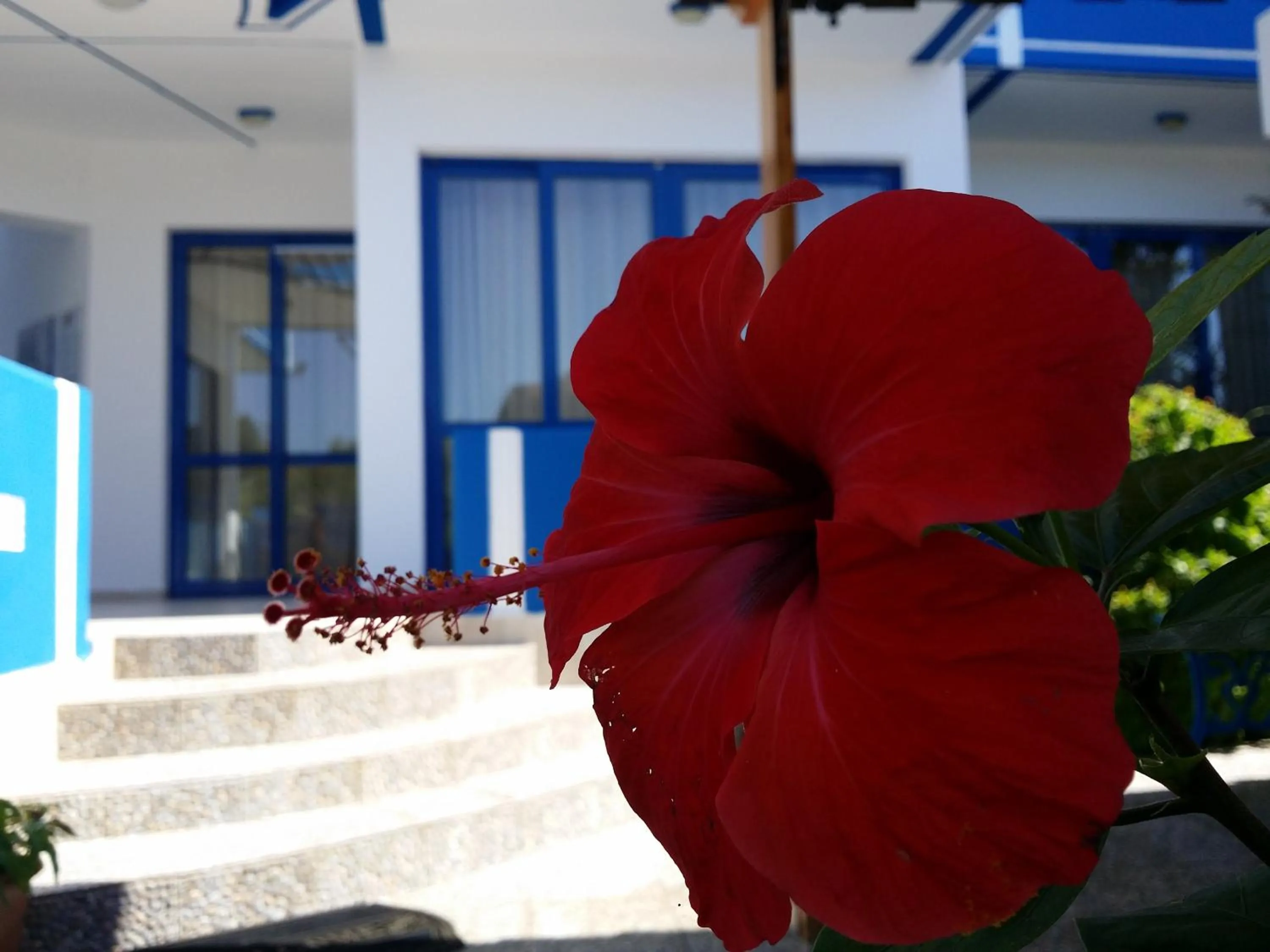 Patio in Anastasia Studios, Apartments & Suites