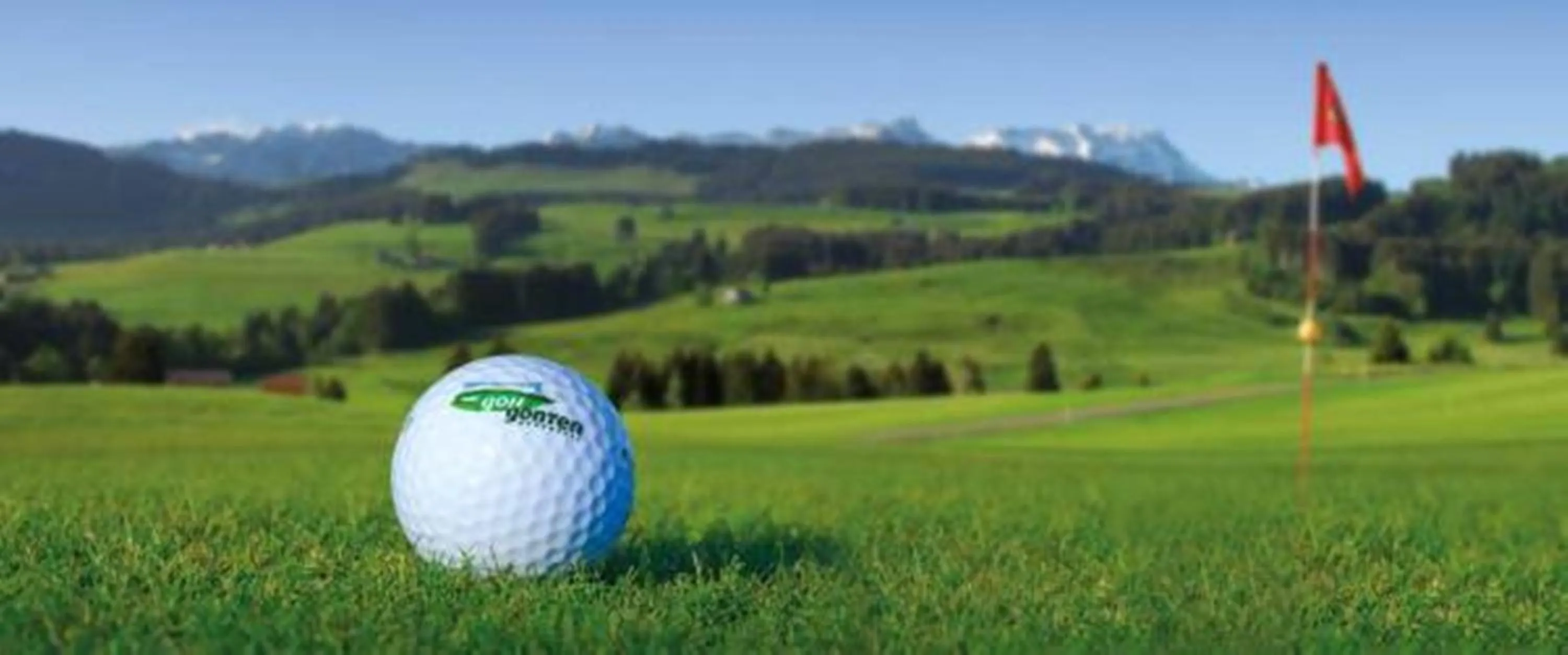 Golfcourse in Appenzeller Huus Bären