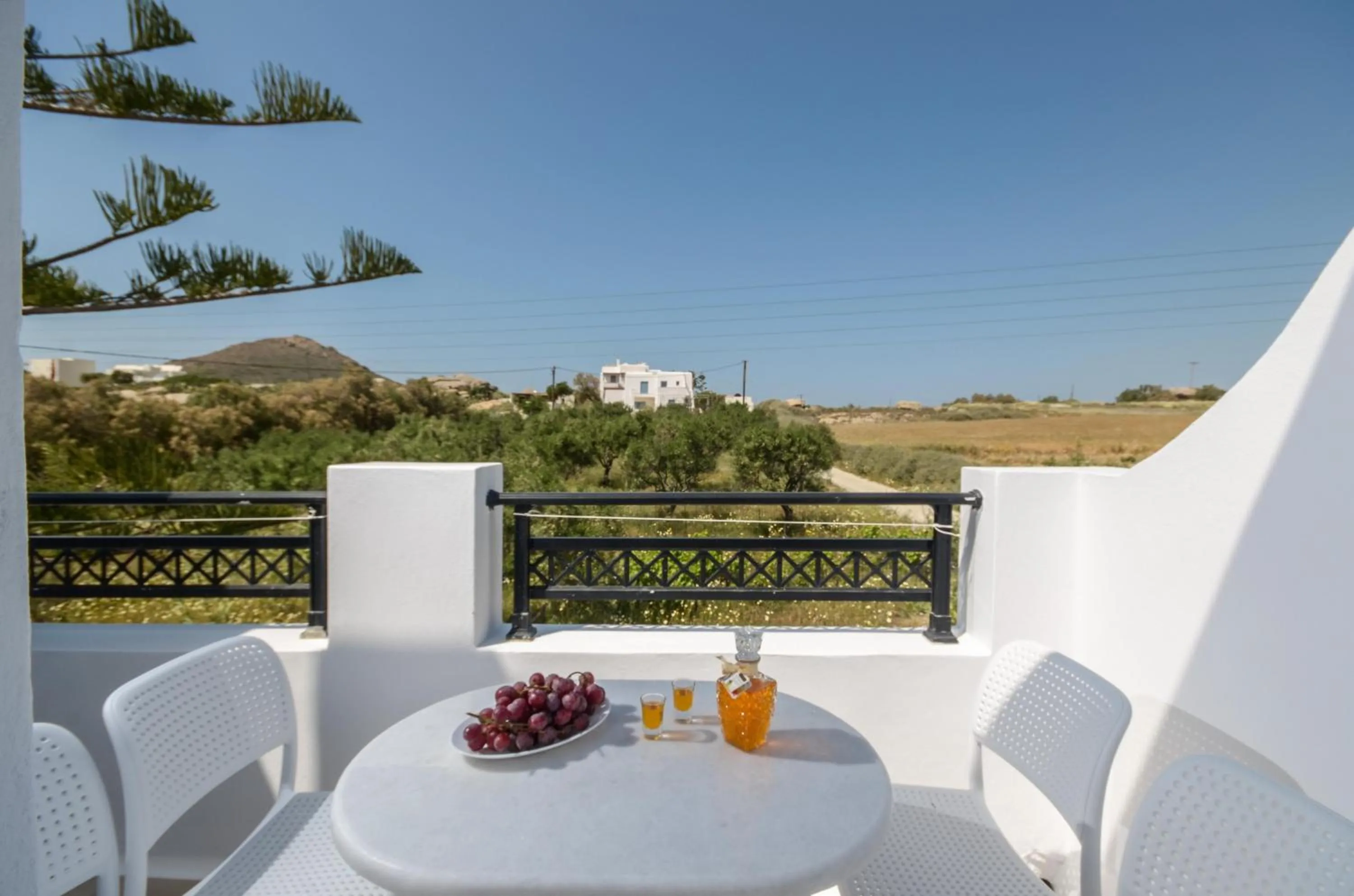 Balcony/Terrace in Villa Adriana Hotel