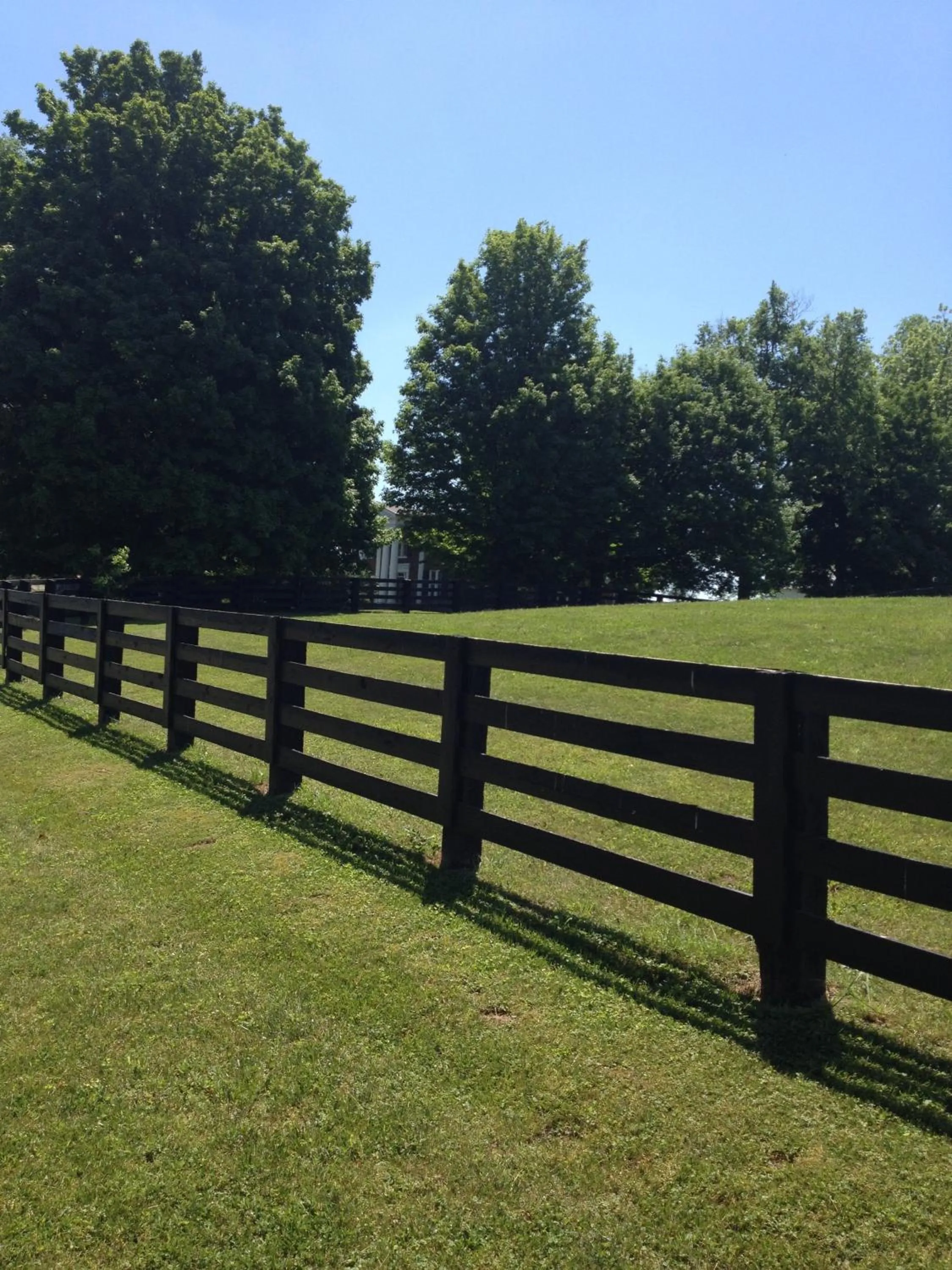 Natural landscape in The Denny House