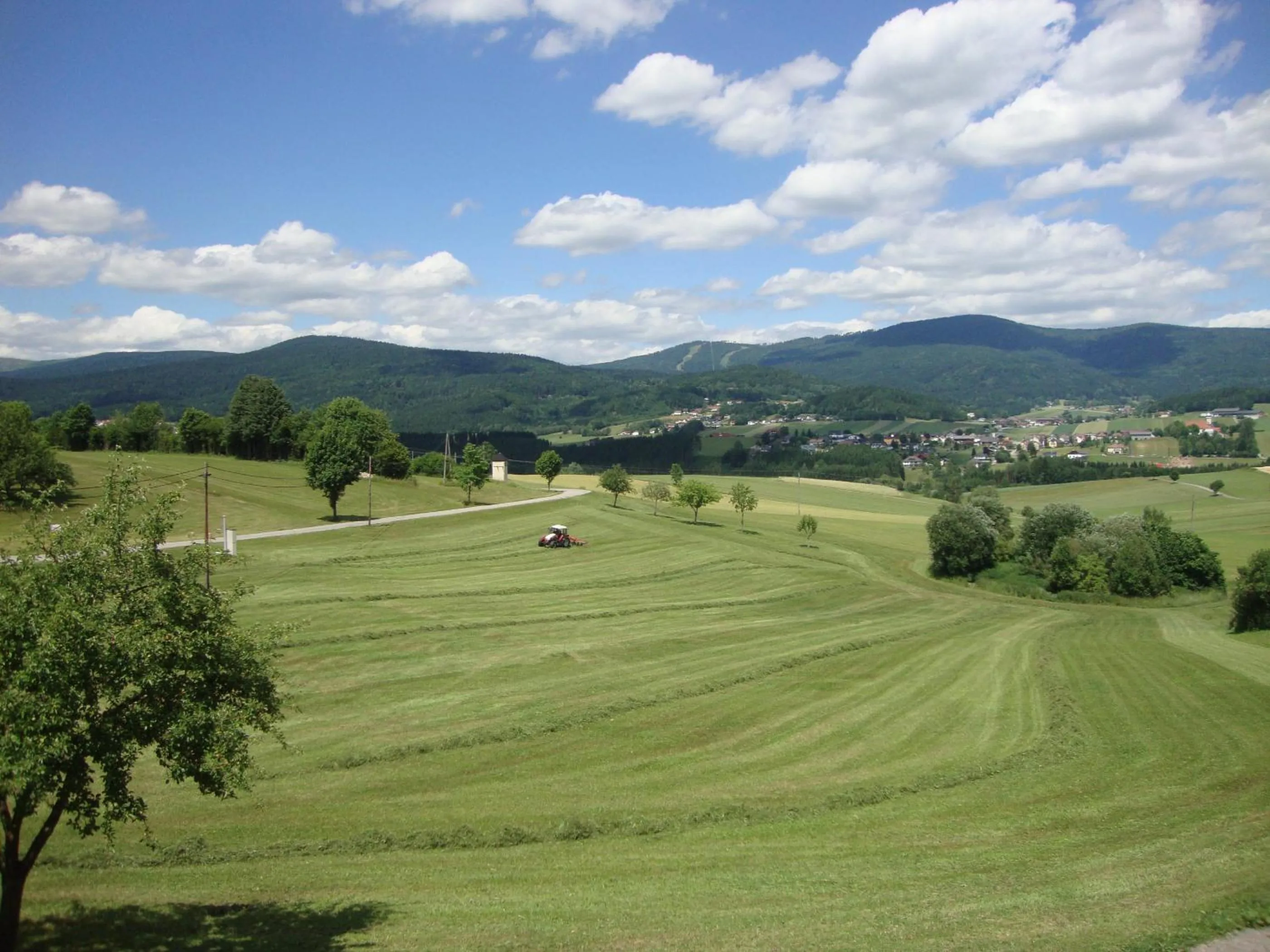 Natural landscape in HOCHFICHTBLICK Apartments