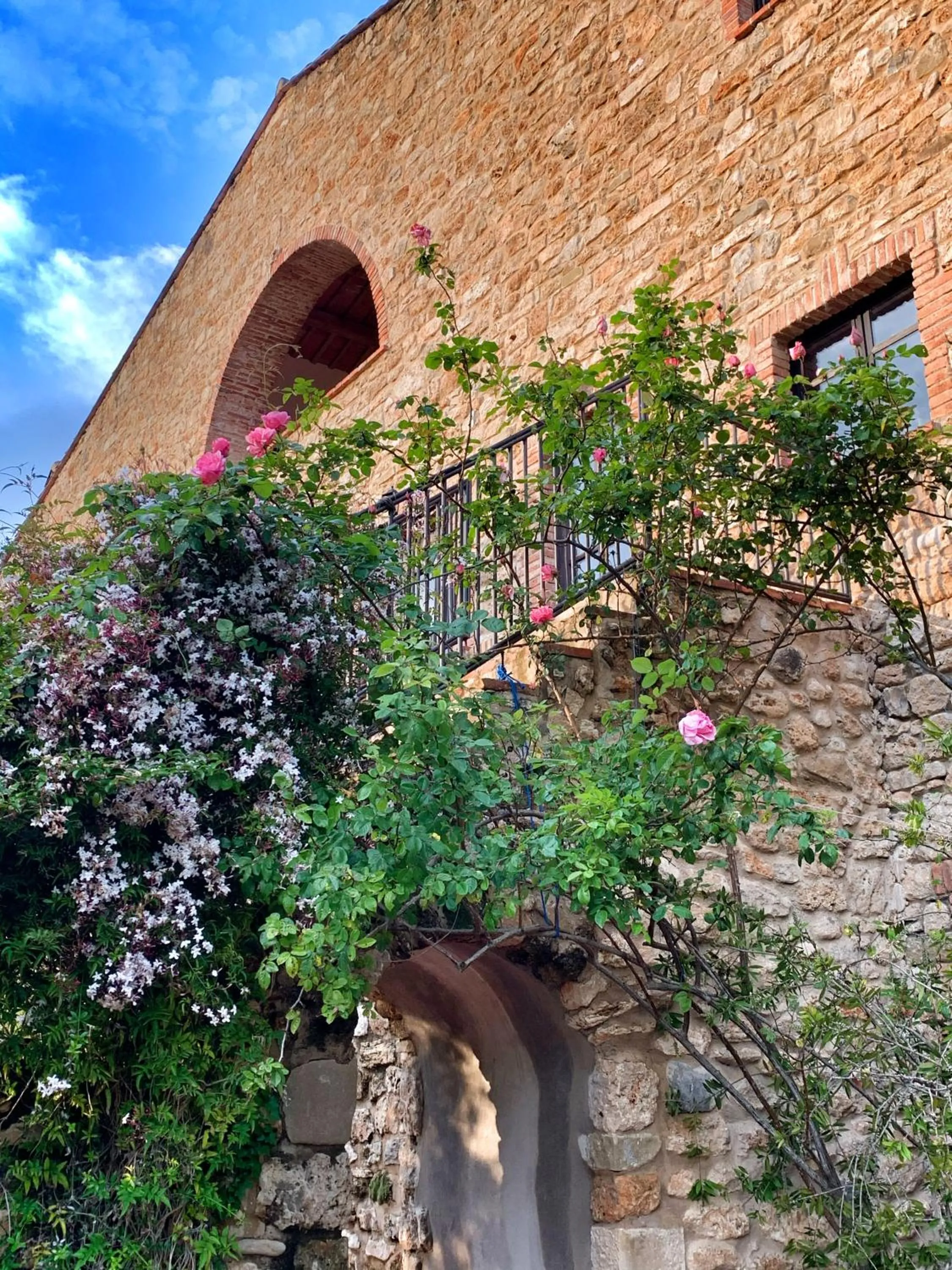 Garden in Hotel Mas Pelegri