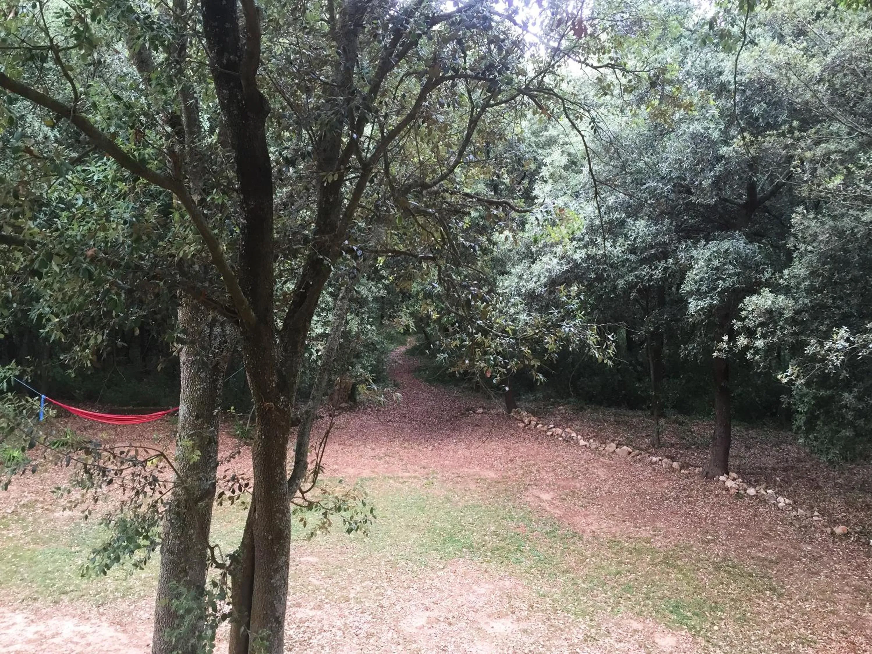 Garden view in Hotel Mas Pelegri