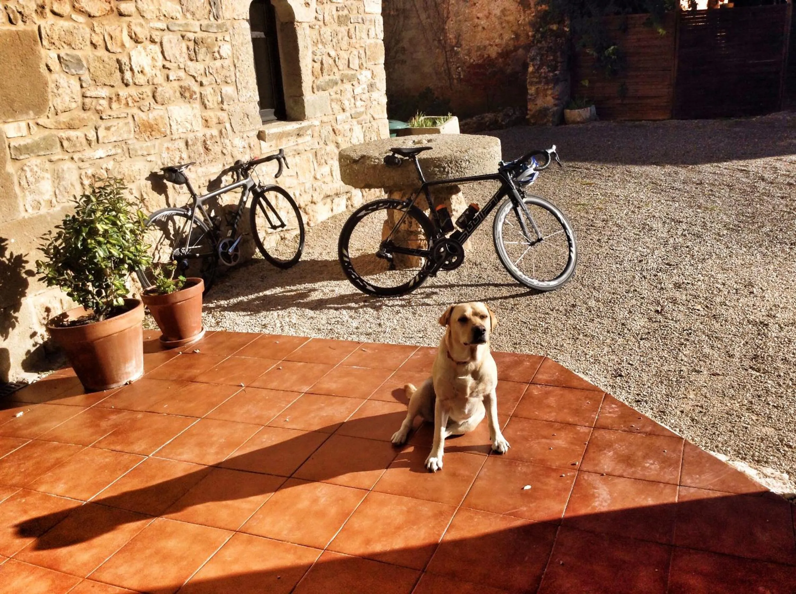 Facade/entrance in Hotel Mas Pelegri