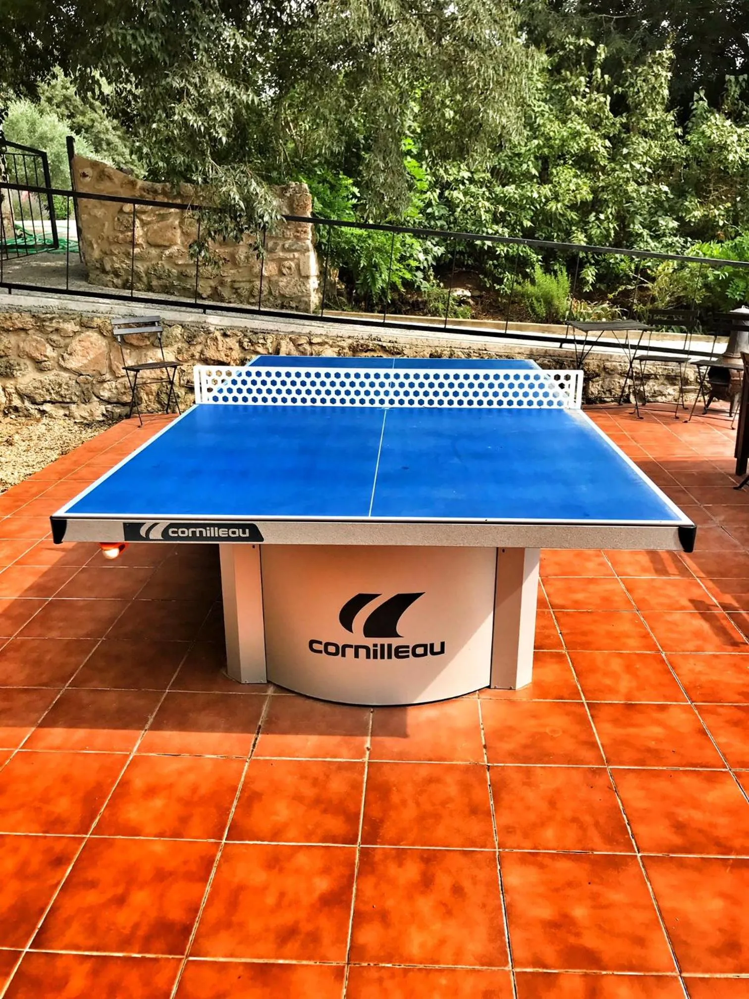 Table tennis in Hotel Mas Pelegri