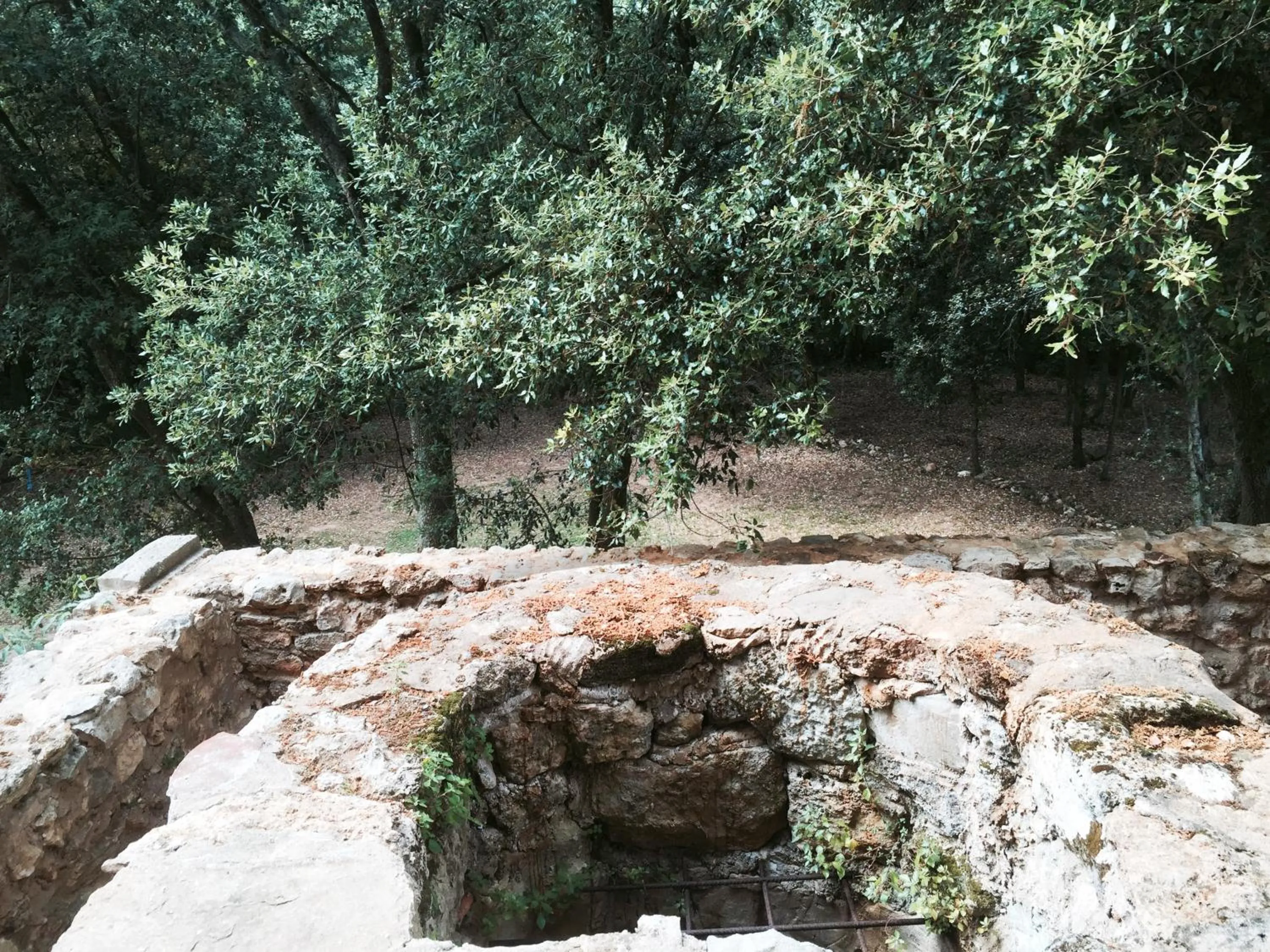 Garden view in Hotel Mas Pelegri