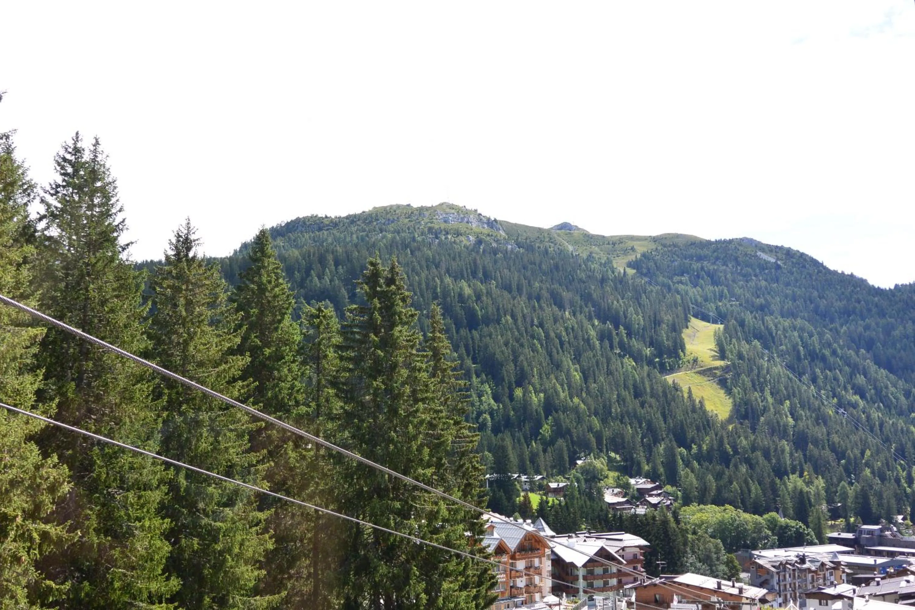 Area and facilities in Hotel Bertelli