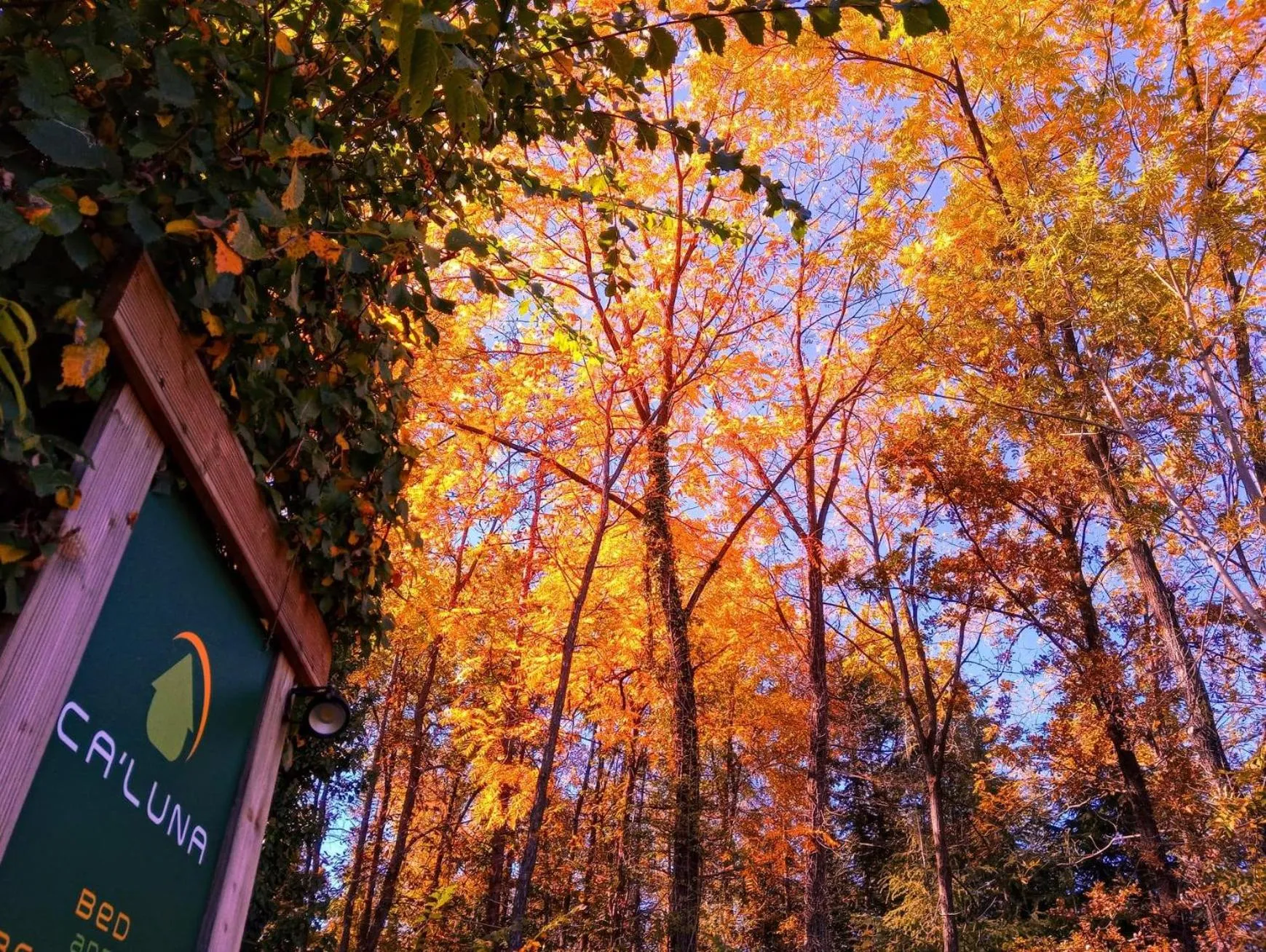 Autumn in Ca'Luna Guest House