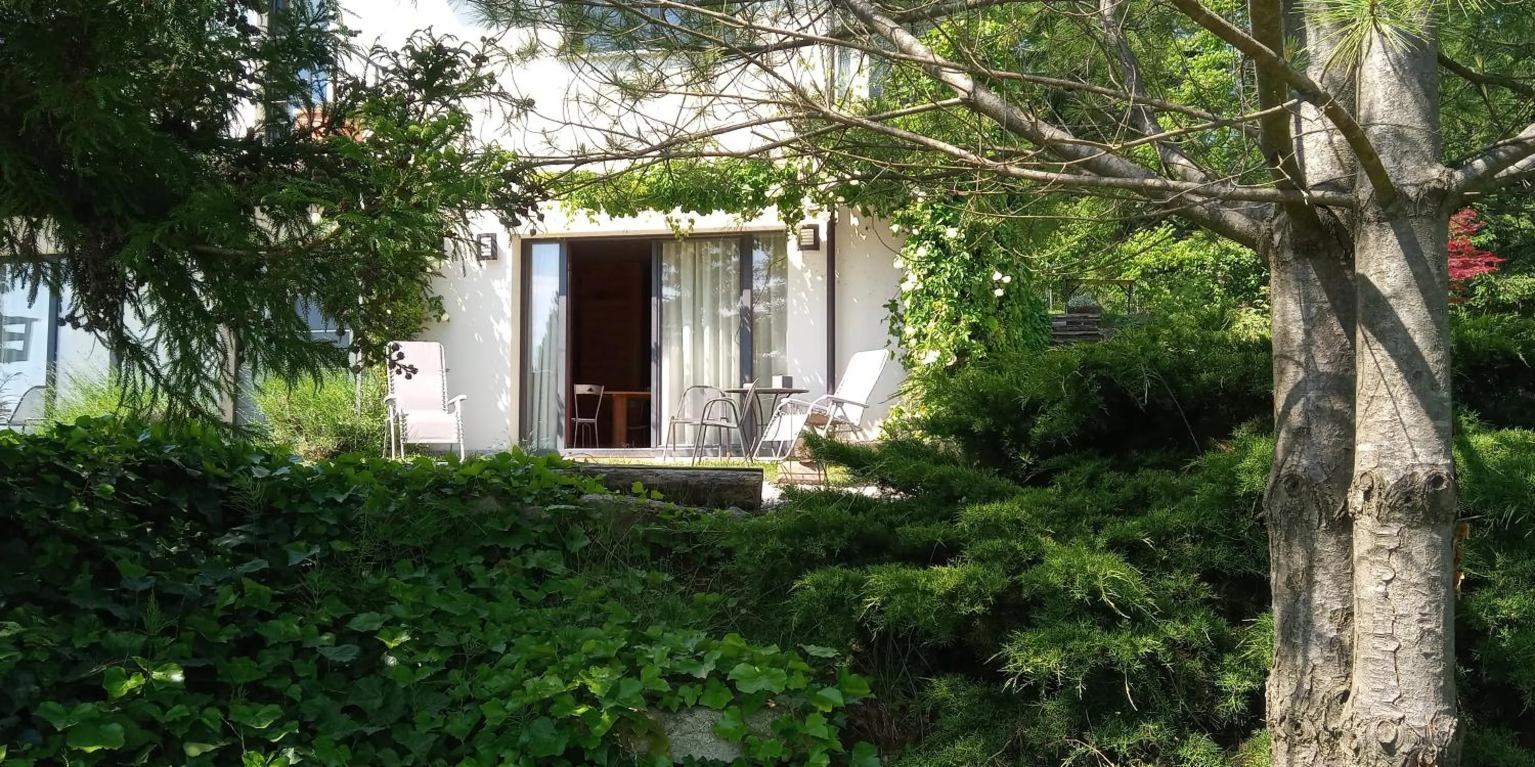 Garden in Ca'Luna Guest House