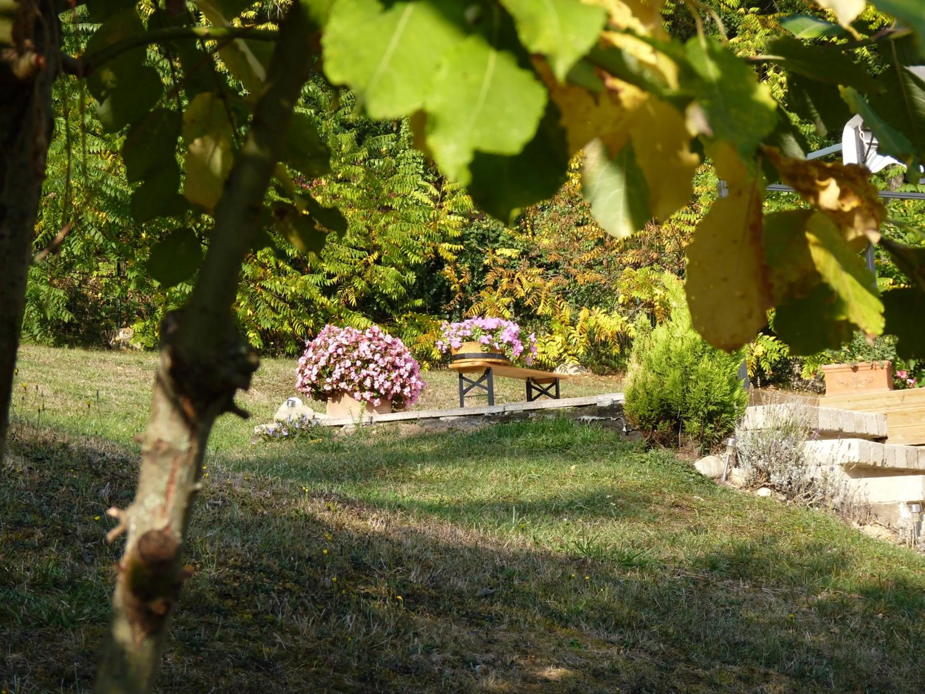 Garden in Ca'Luna Guest House