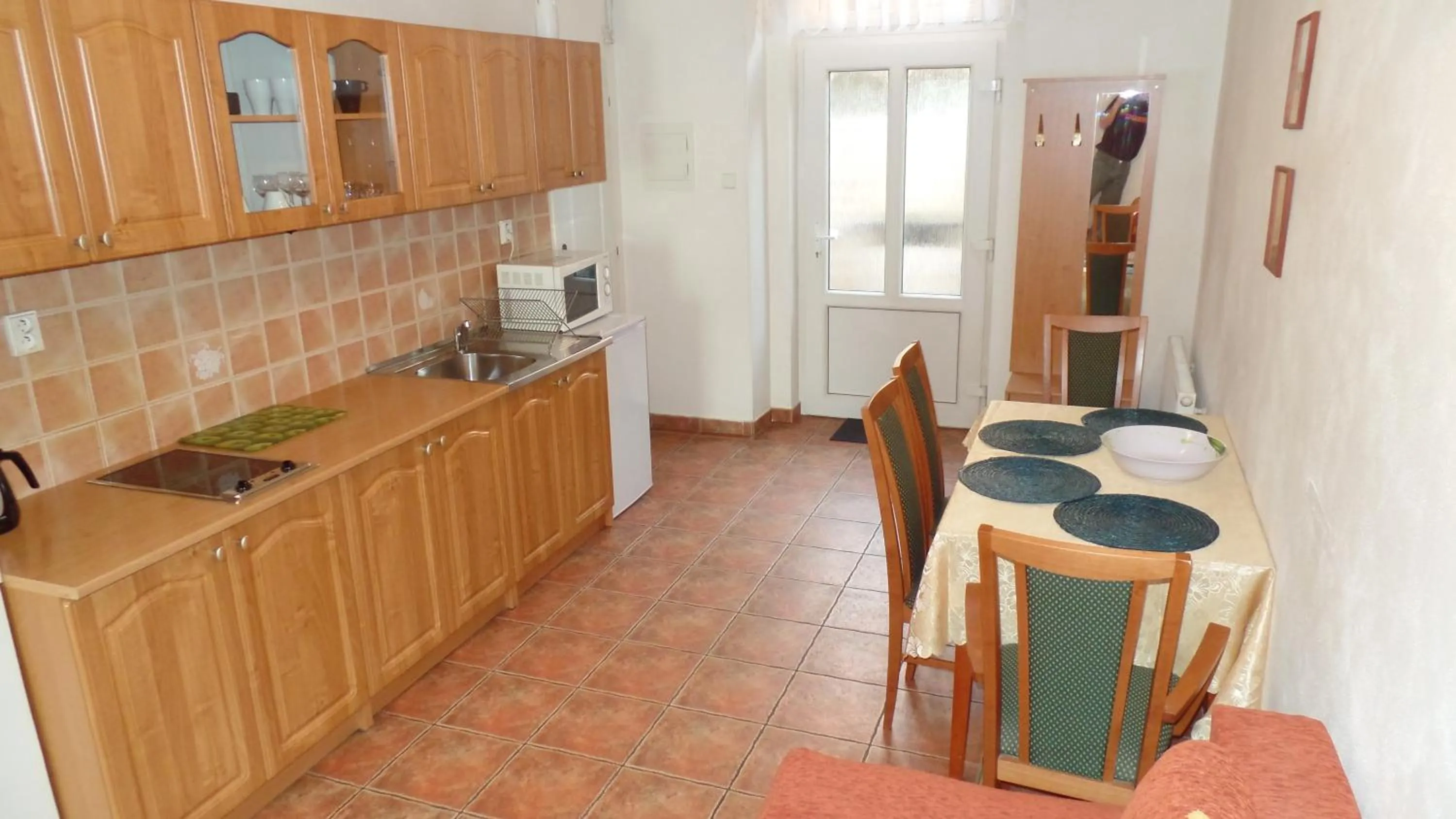 Kitchen or kitchenette in Apartments Rokytka - Praha