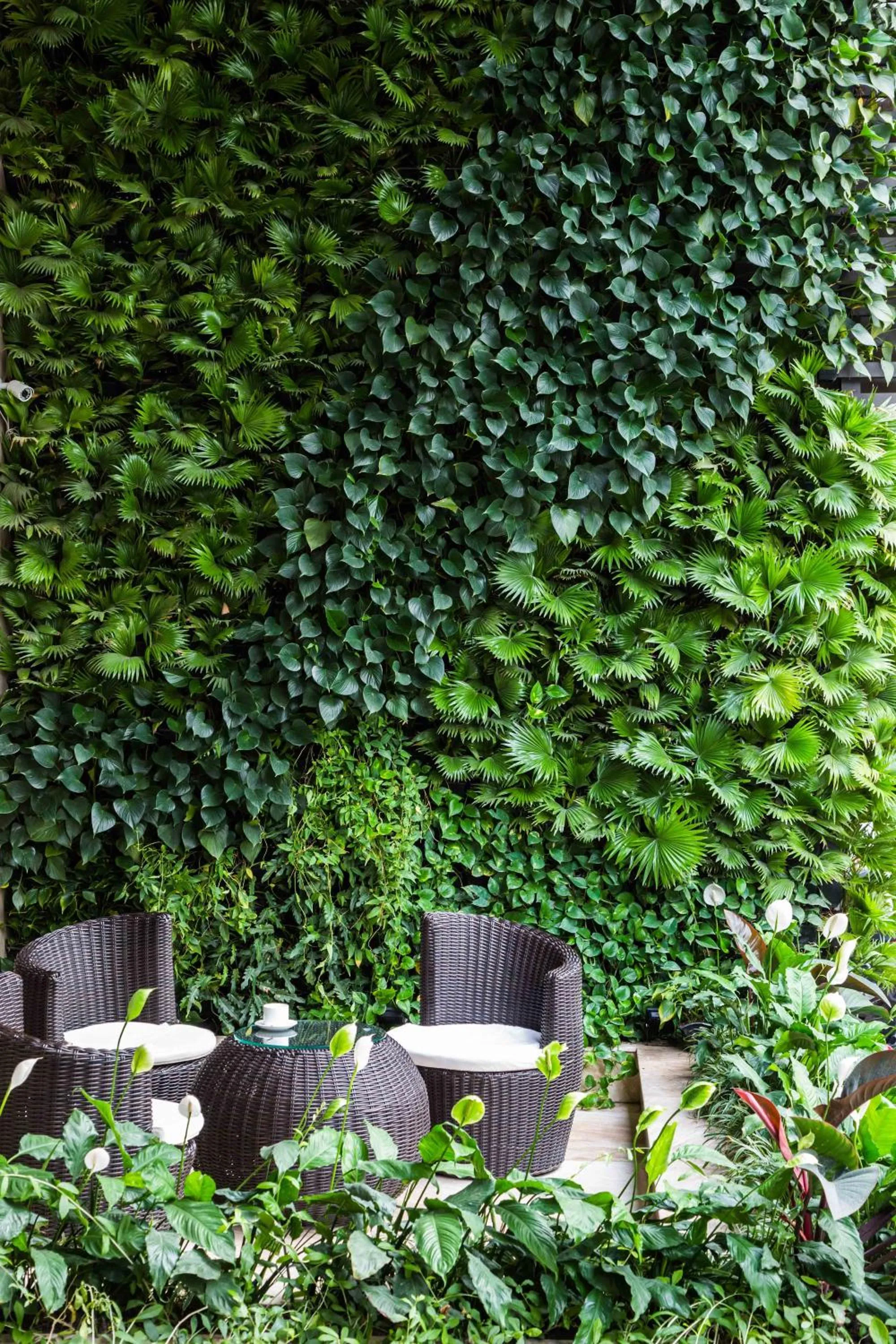 Garden in Alana Nha Trang Beach Hotel