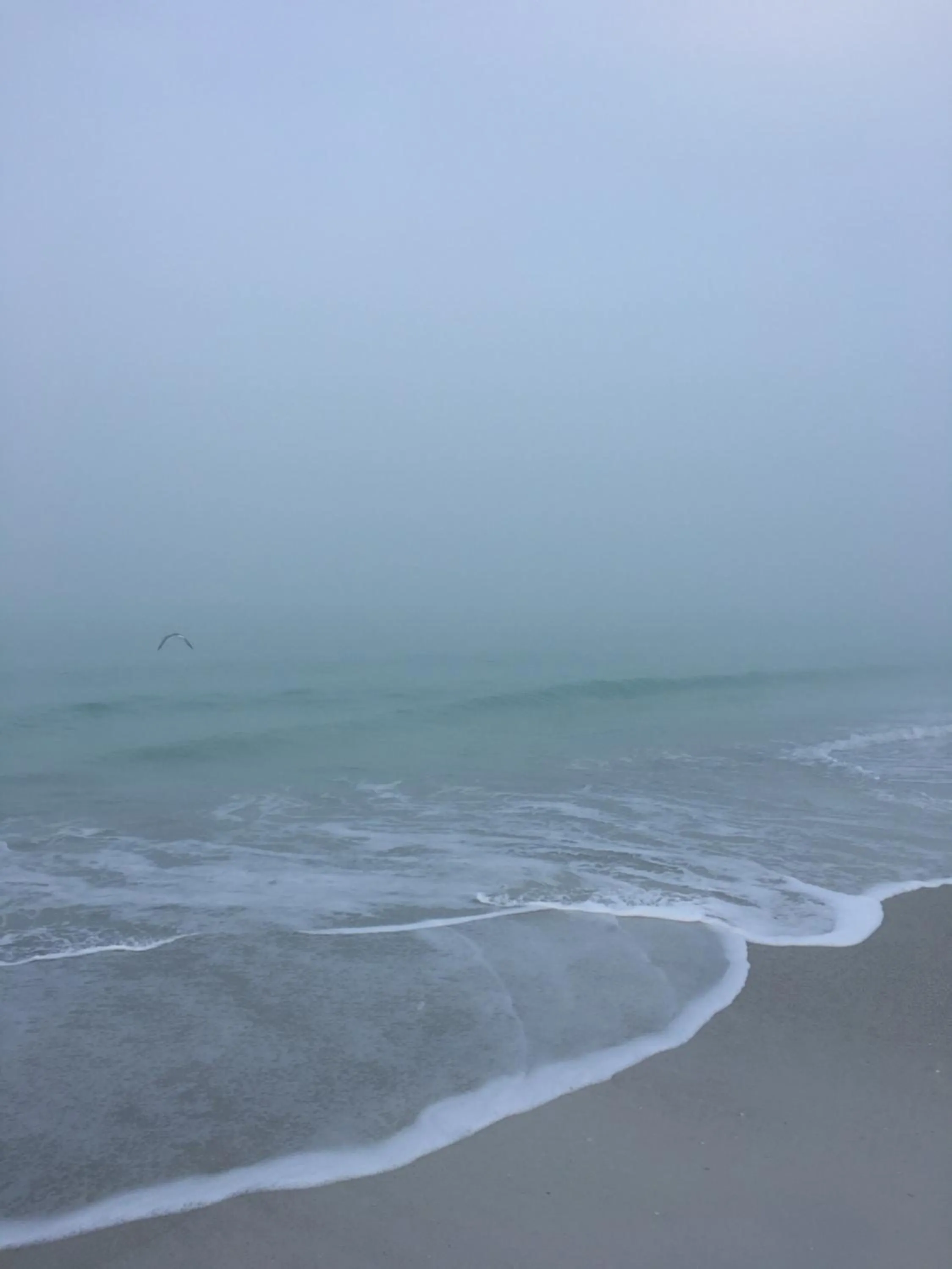 Beach in Coquina Beach Club 109