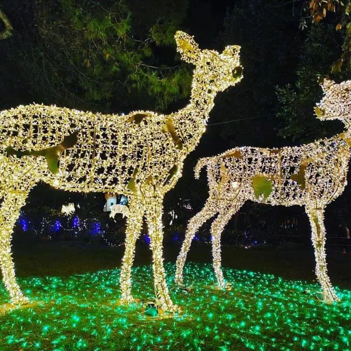 B&B degli Amalfitani