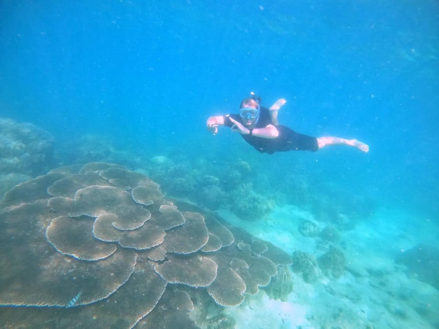 Diving in Baan Tah On The Sea