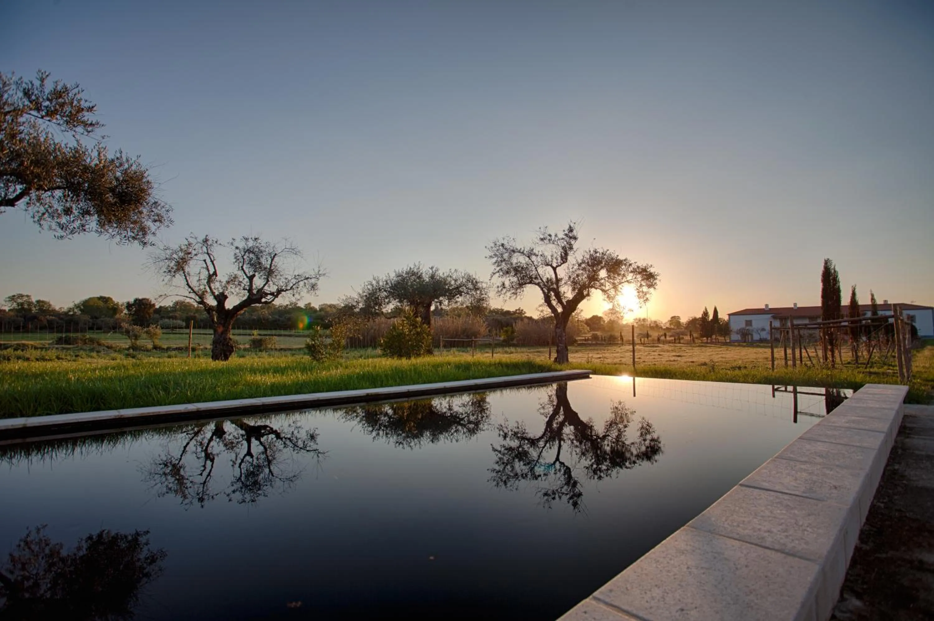 Off site in Quinta Dos Carvalhos Castelo Branco