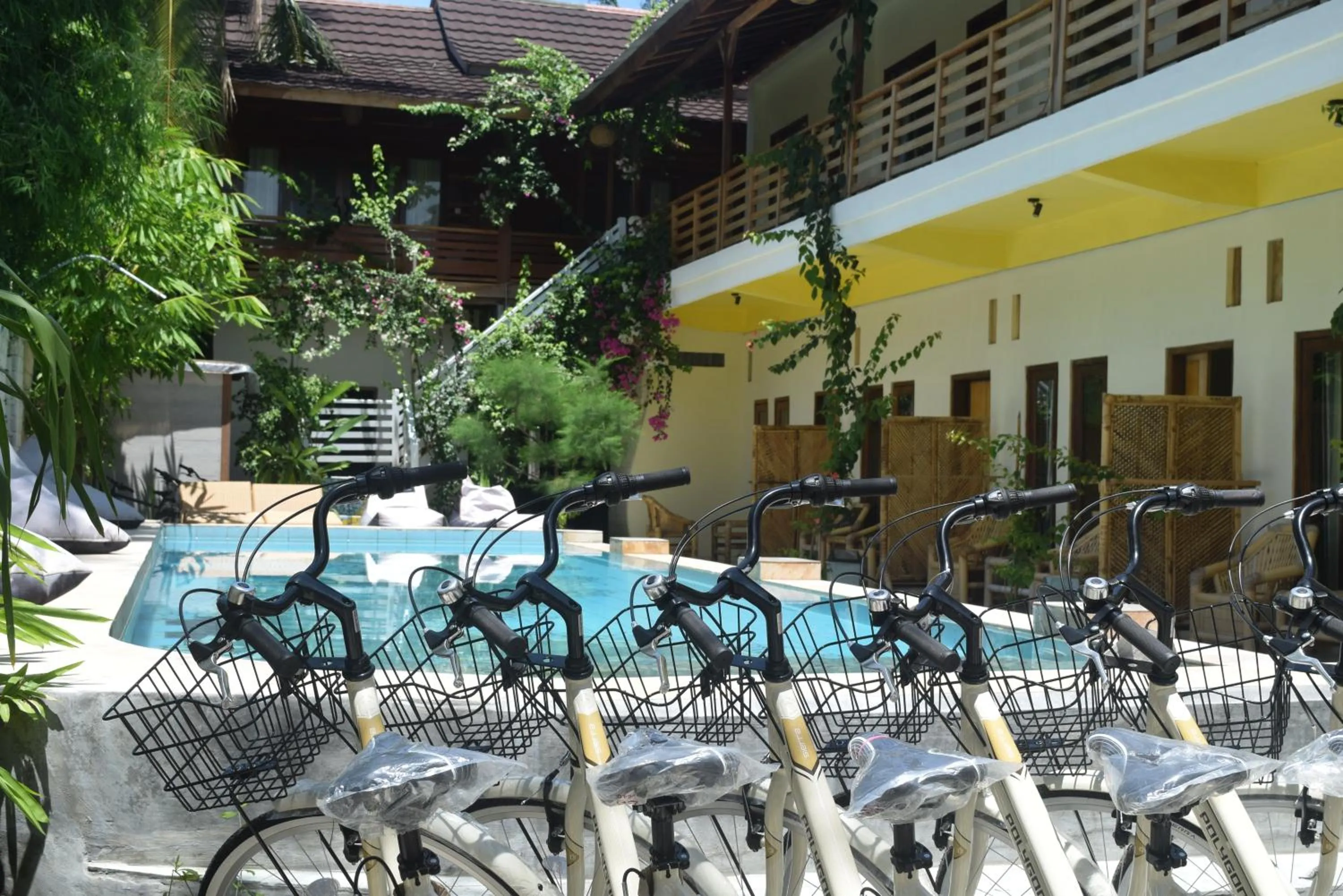 Cycling in Panda Cottage