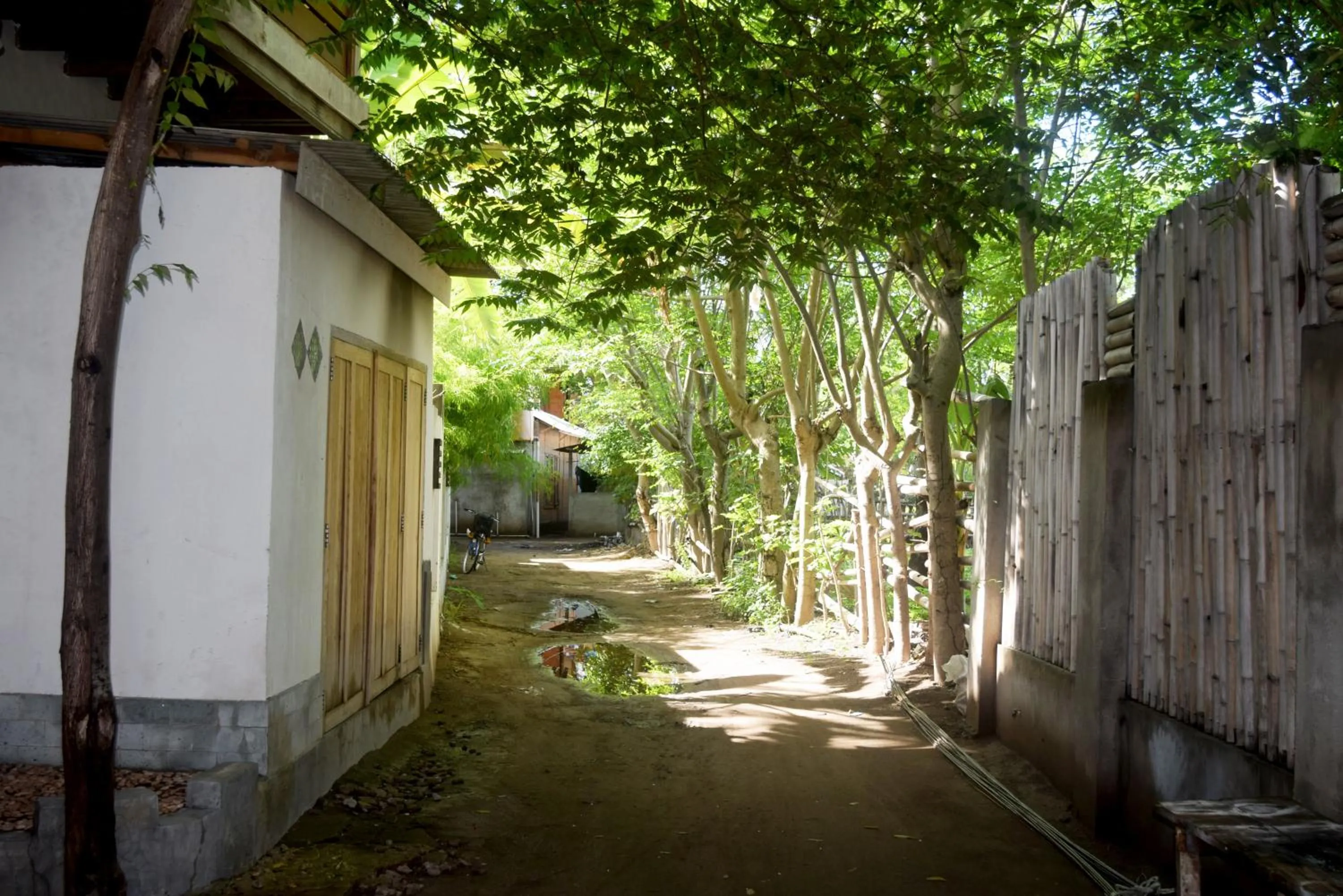 Street view in Panda Cottage