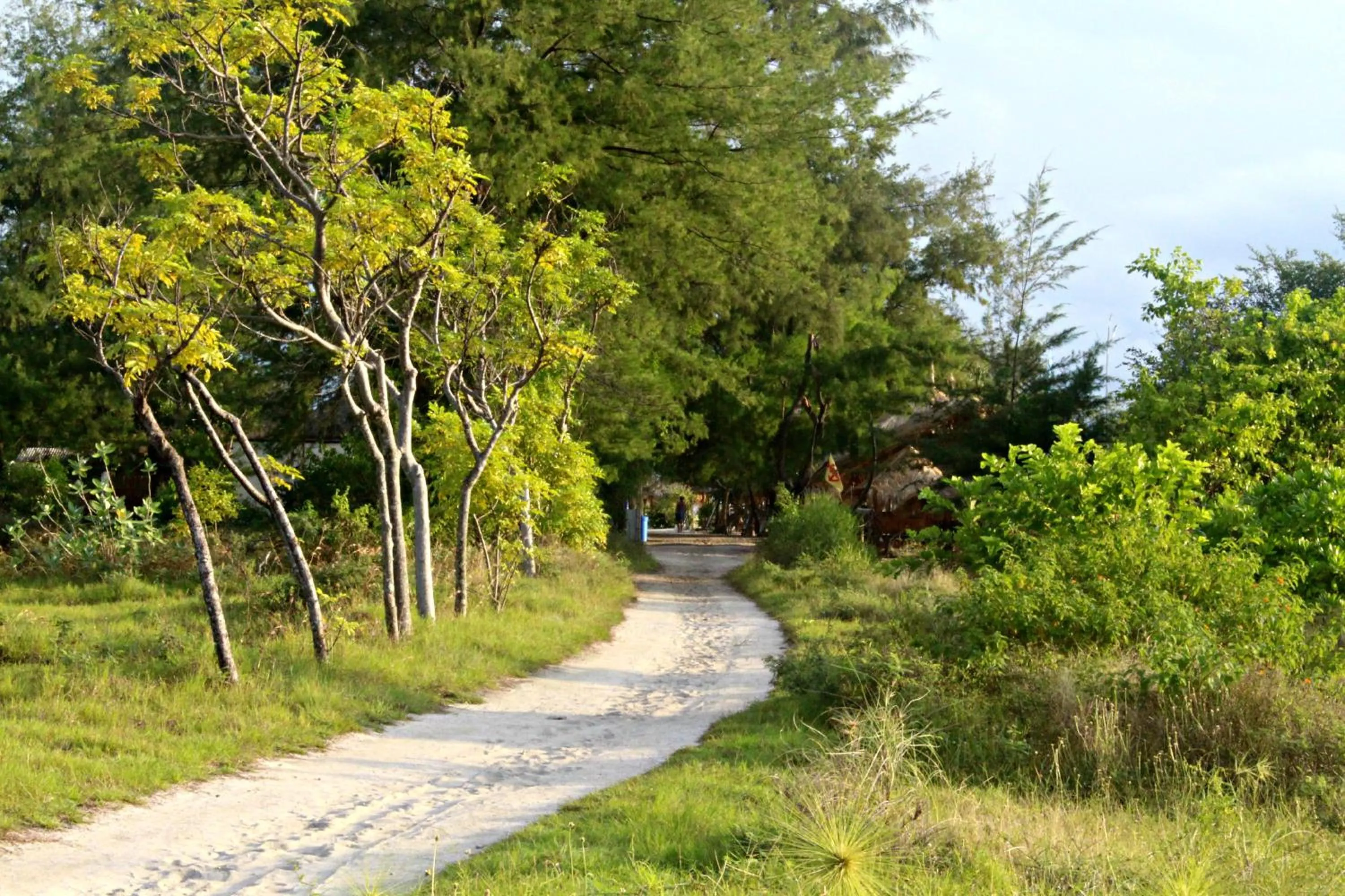 Day in Panda Cottage