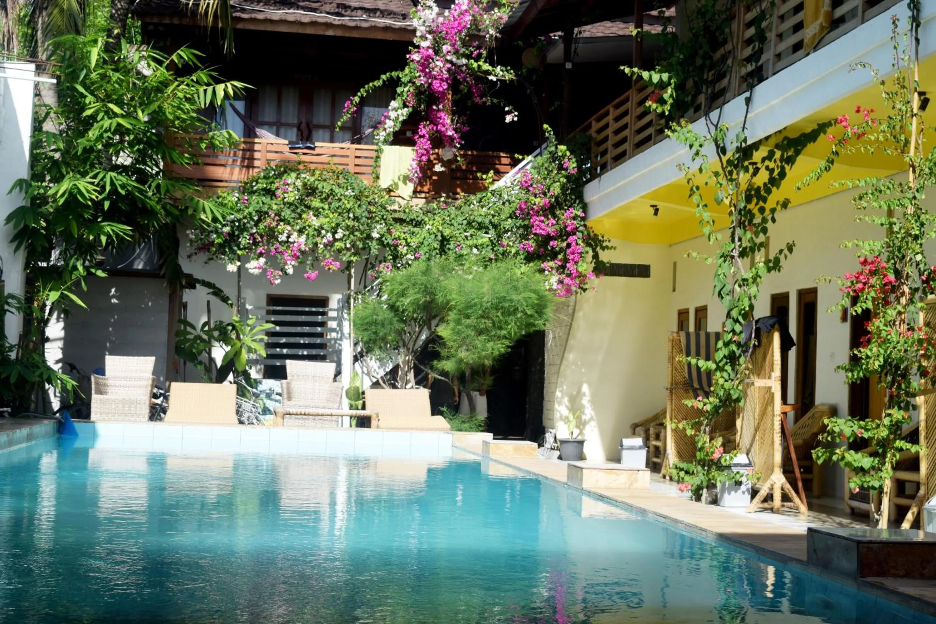 Garden view in Panda Cottage
