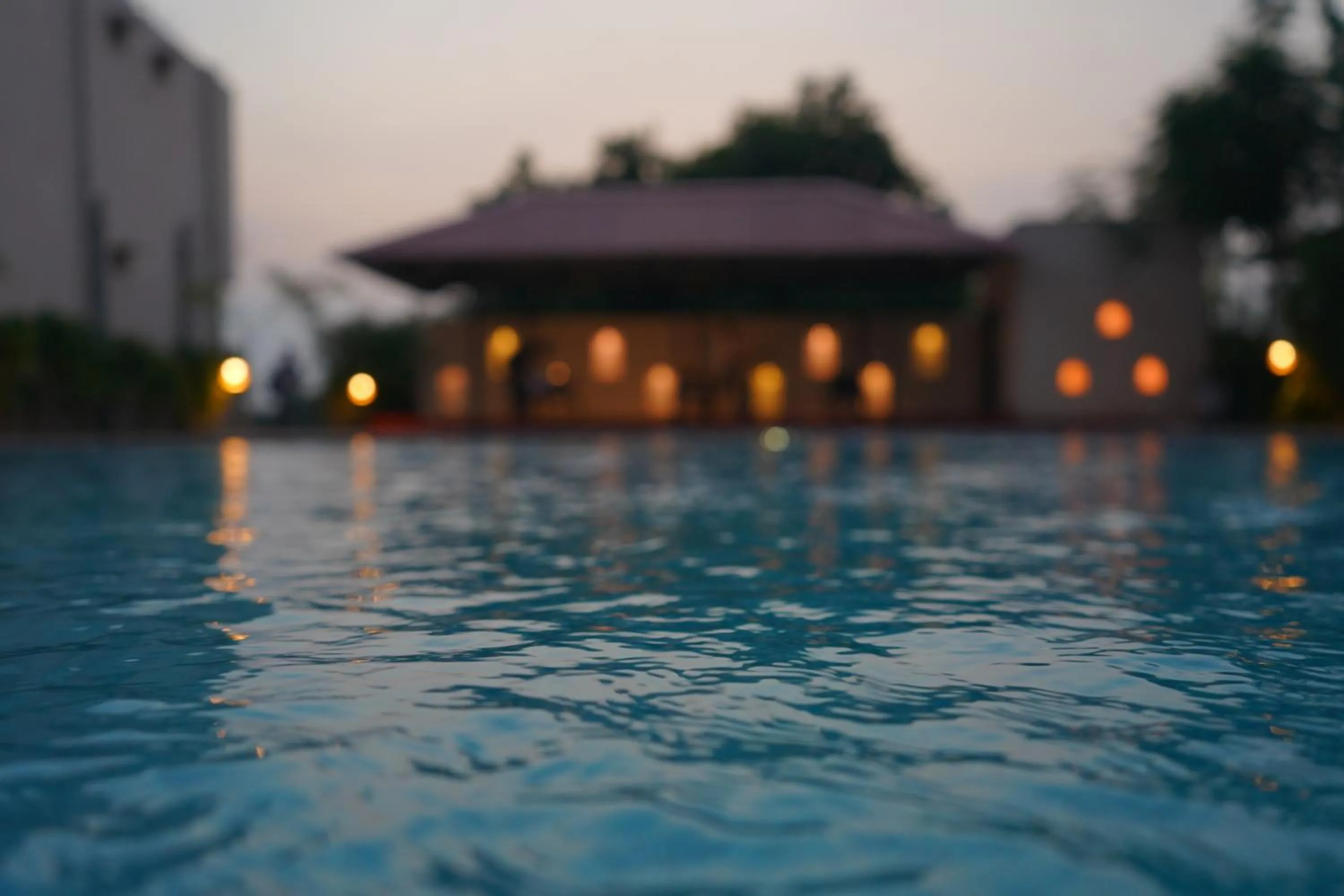 Pool view in Sundervan Vilas Ranthambore