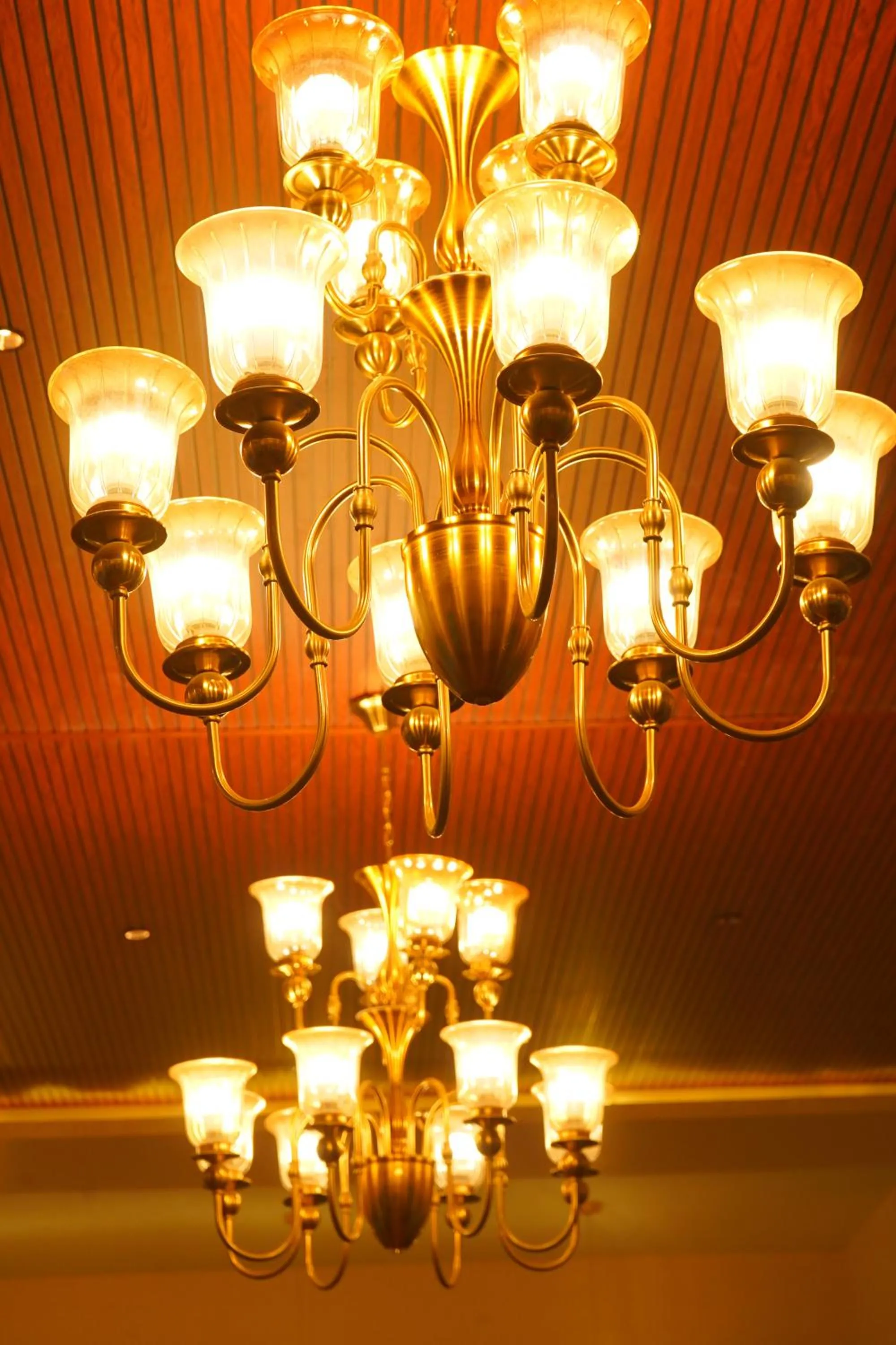 Restaurant/places to eat in Sundervan Vilas Ranthambore
