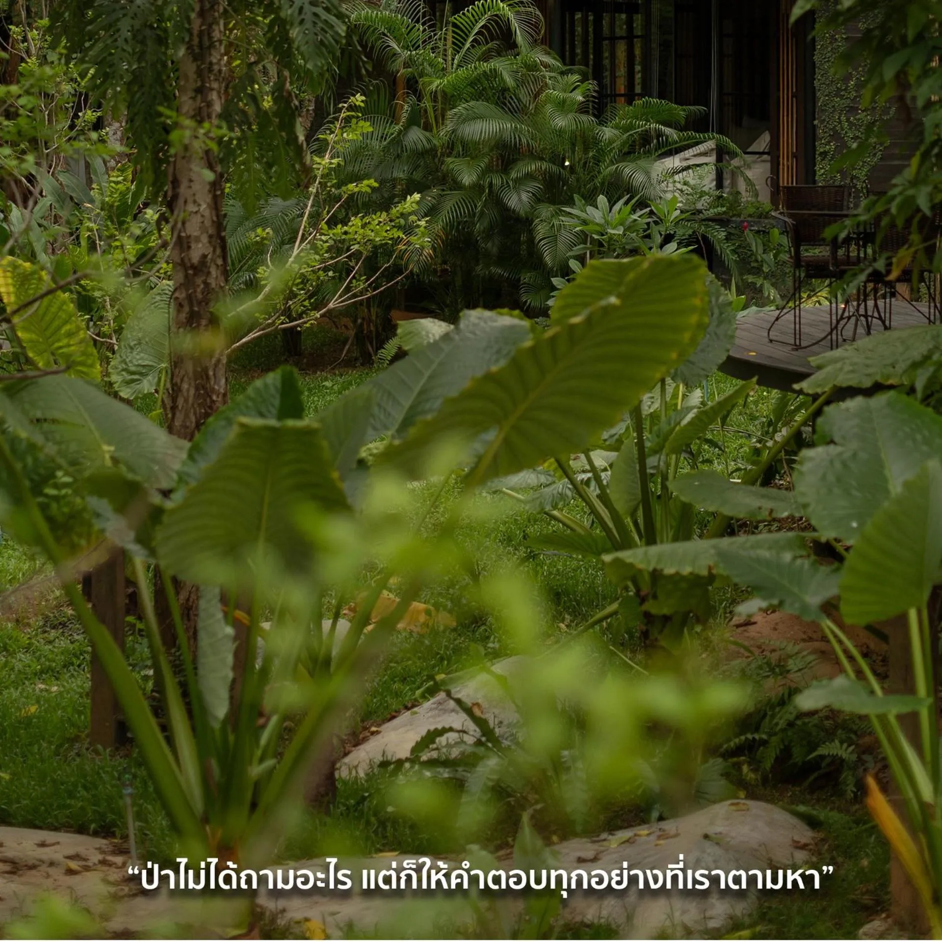 Garden in Sanctuary Kanchanaburi