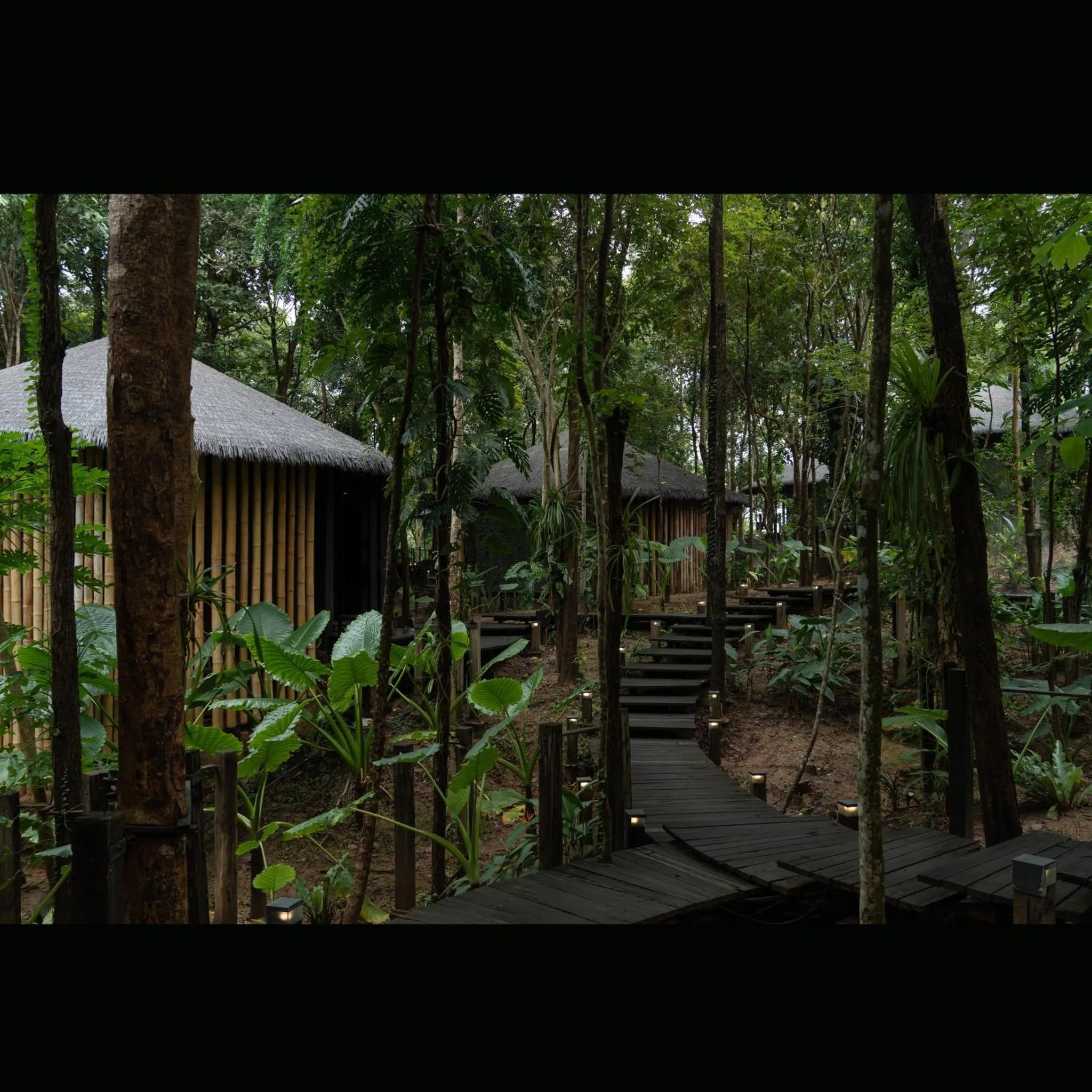 Garden in Sanctuary Kanchanaburi