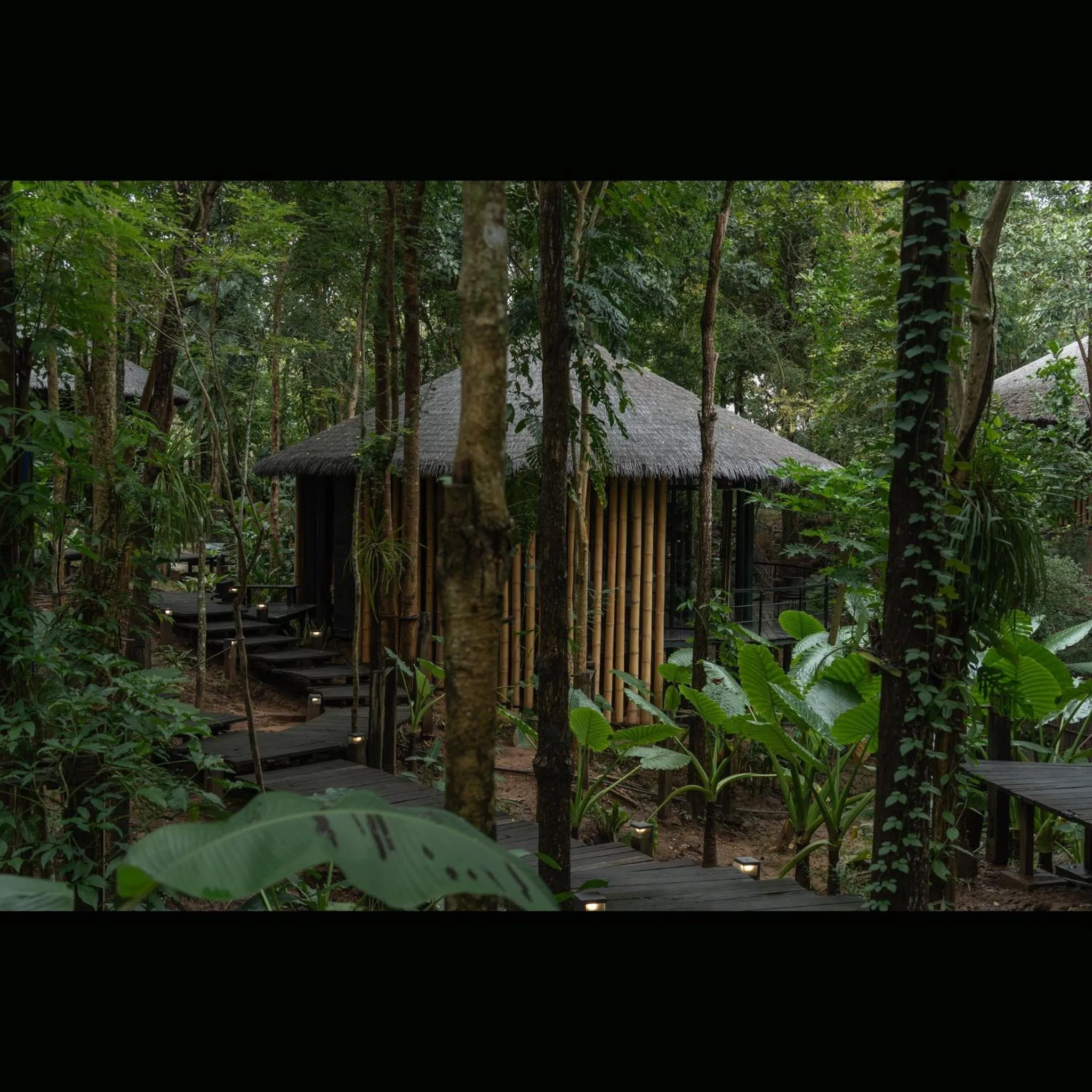 Day in Sanctuary Kanchanaburi