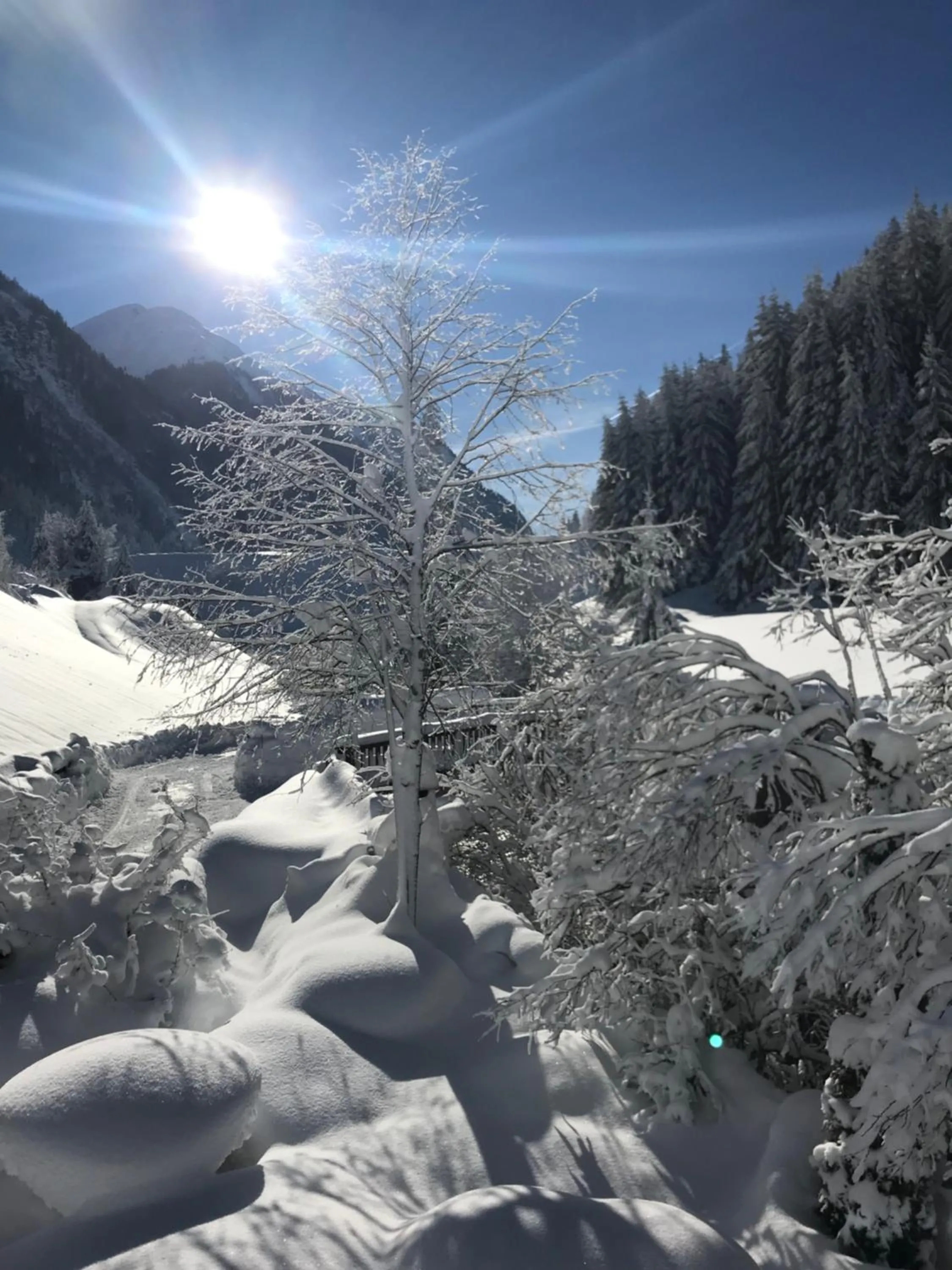 Garden view in AlpinDesign Kaunertal