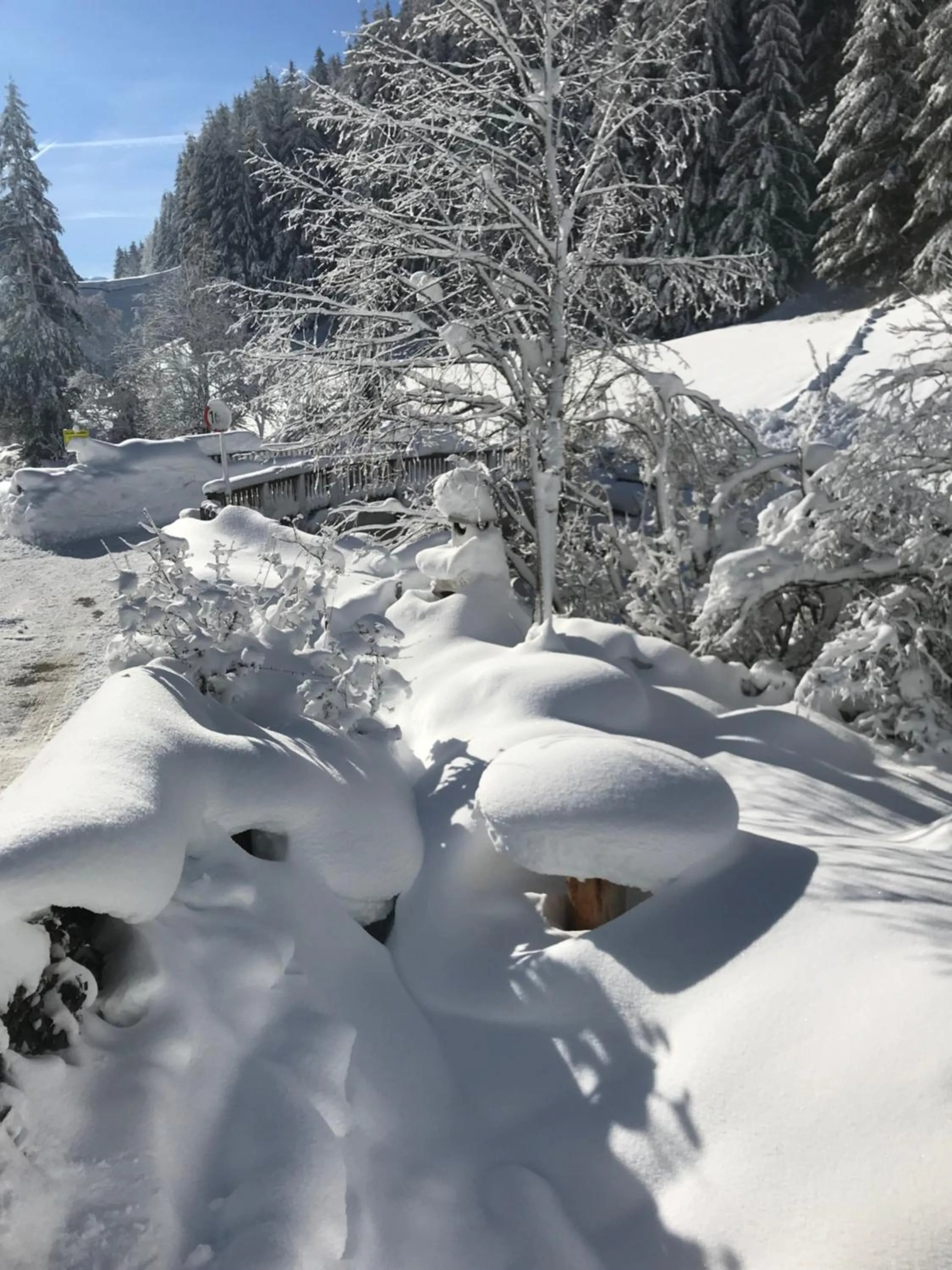 Garden view in AlpinDesign Kaunertal