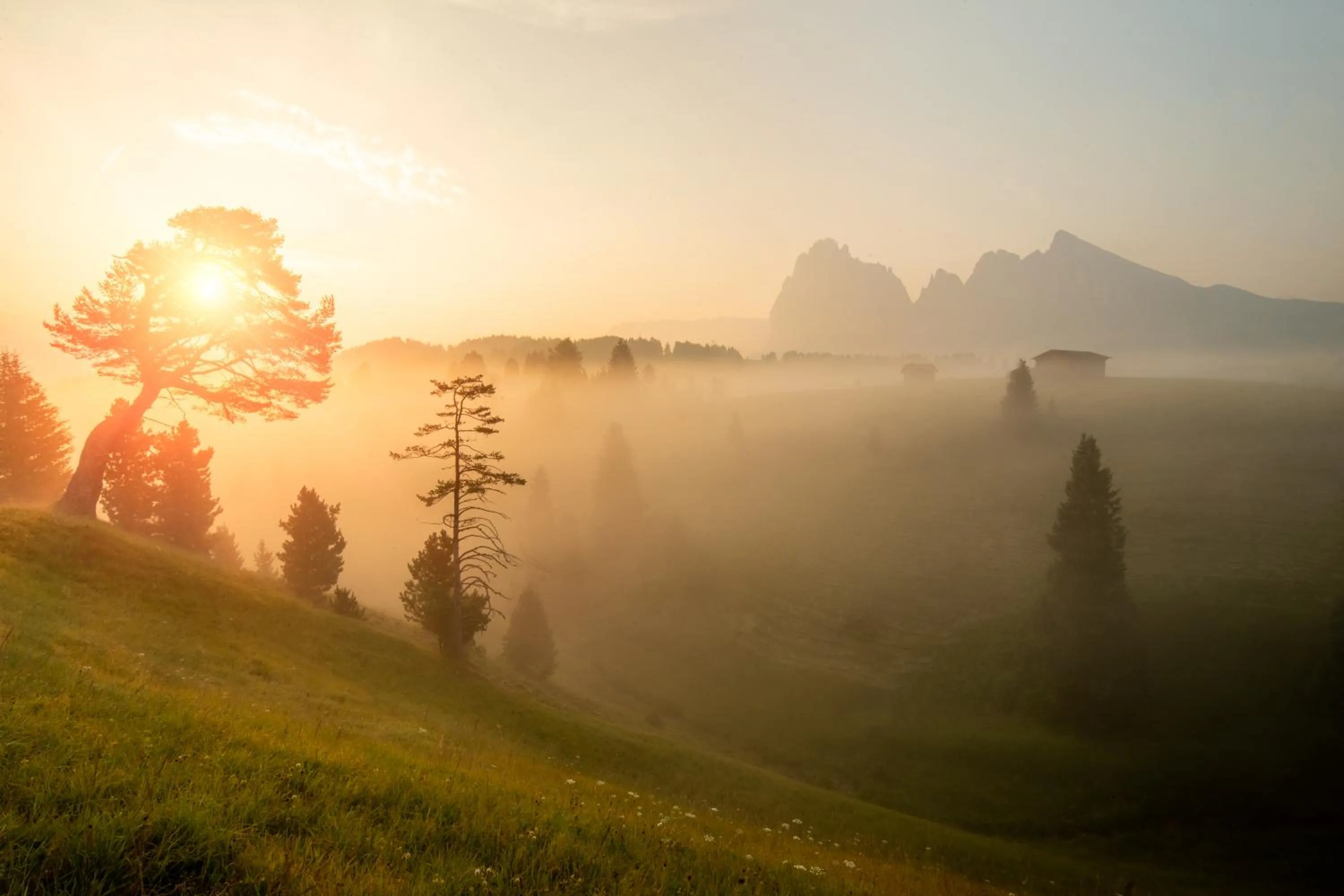 Natural landscape in Brunelle Seiser Alm Lodge