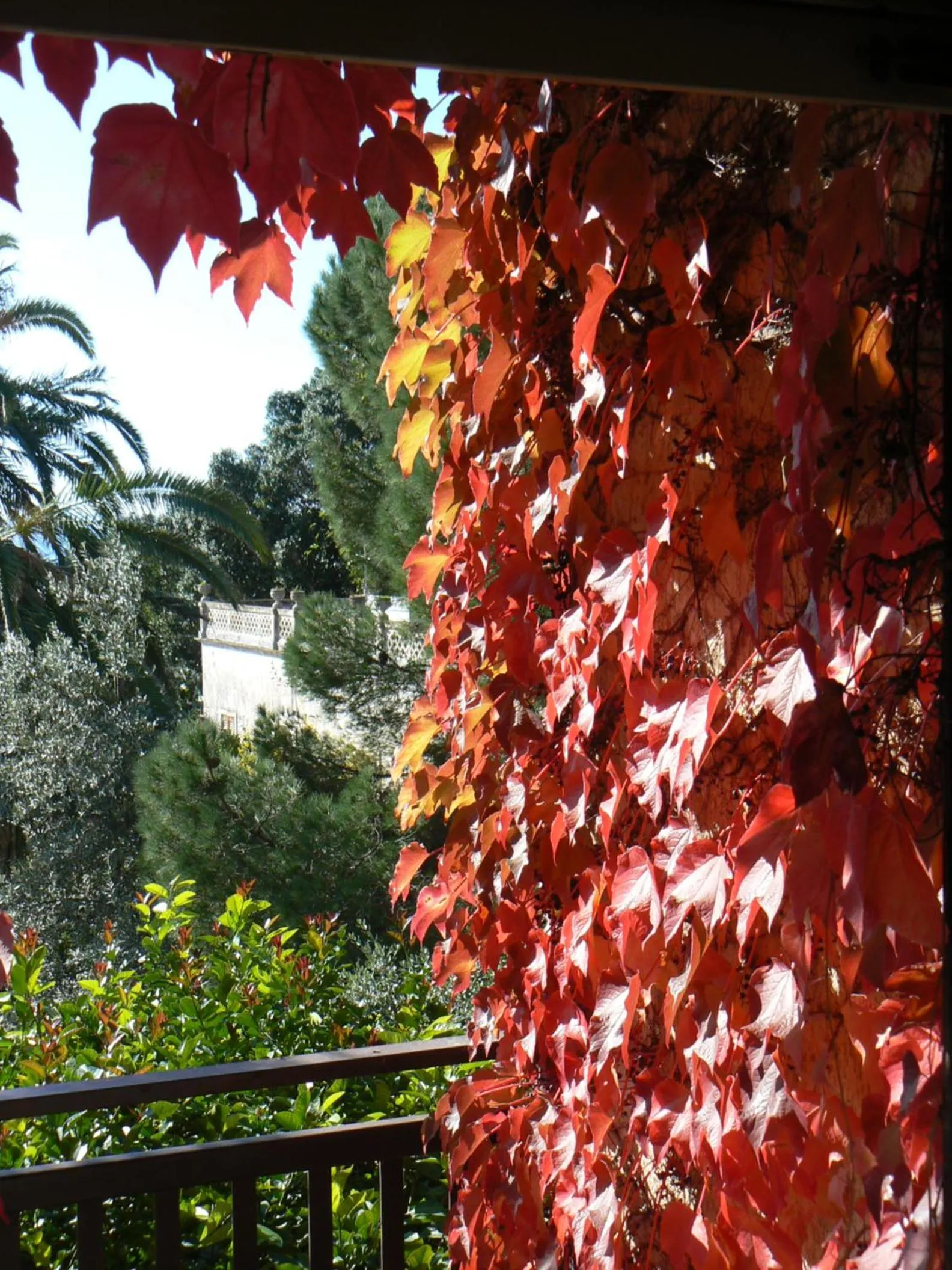 Photo of the whole room in La Cittadella Residence Città Universitaria Policlinico Catania