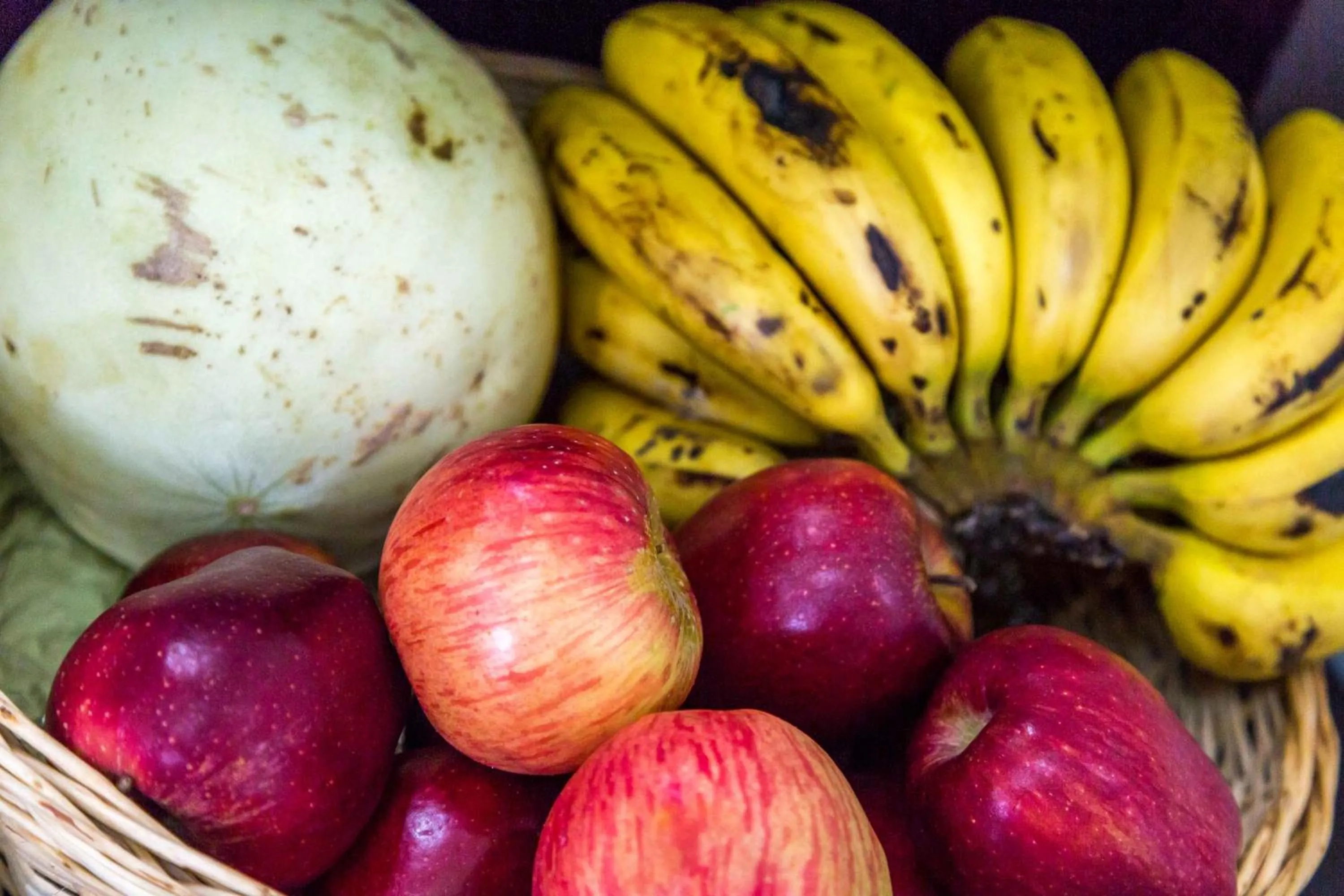Food close-up in Illa Hotel