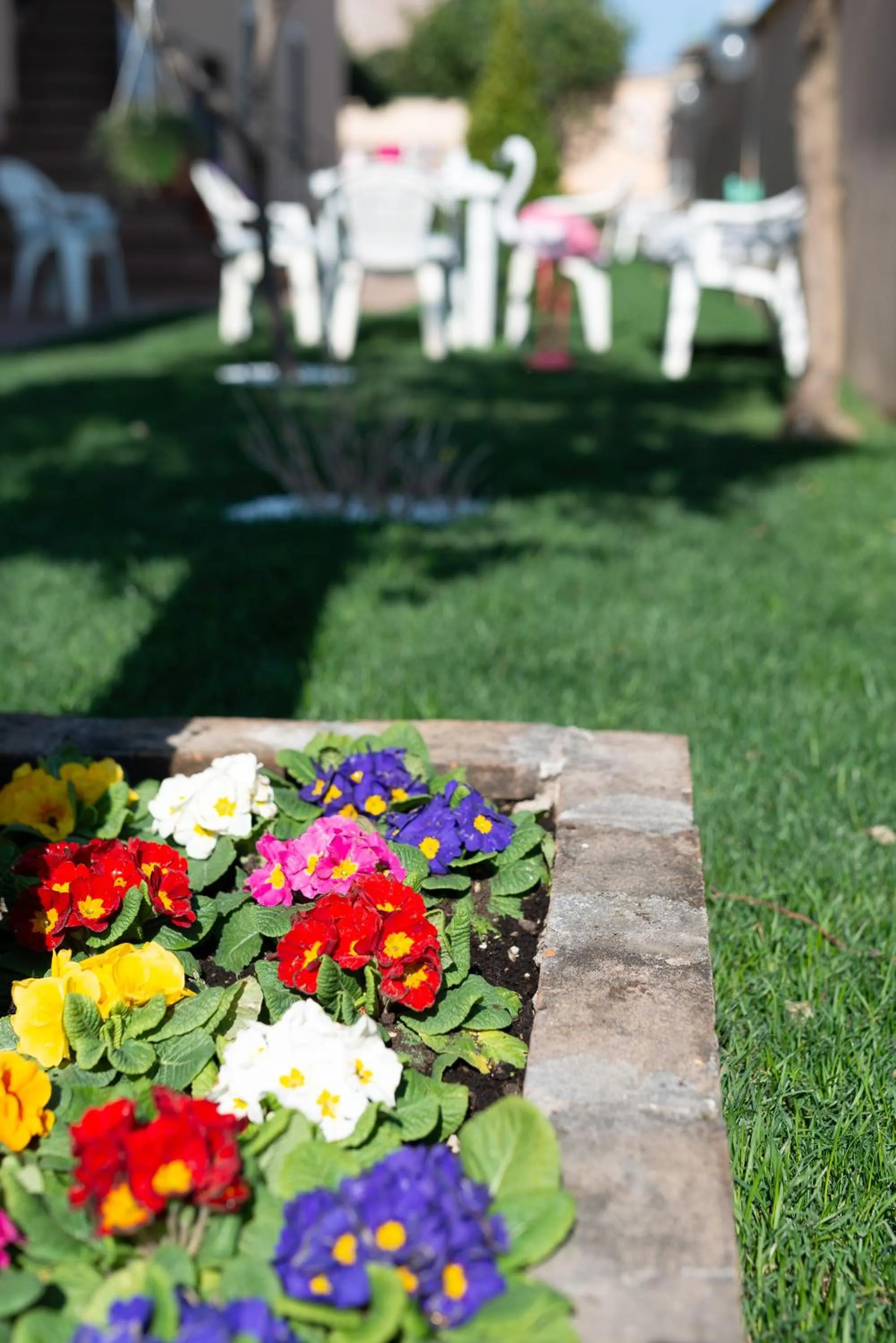 Suite Room Fiumicino