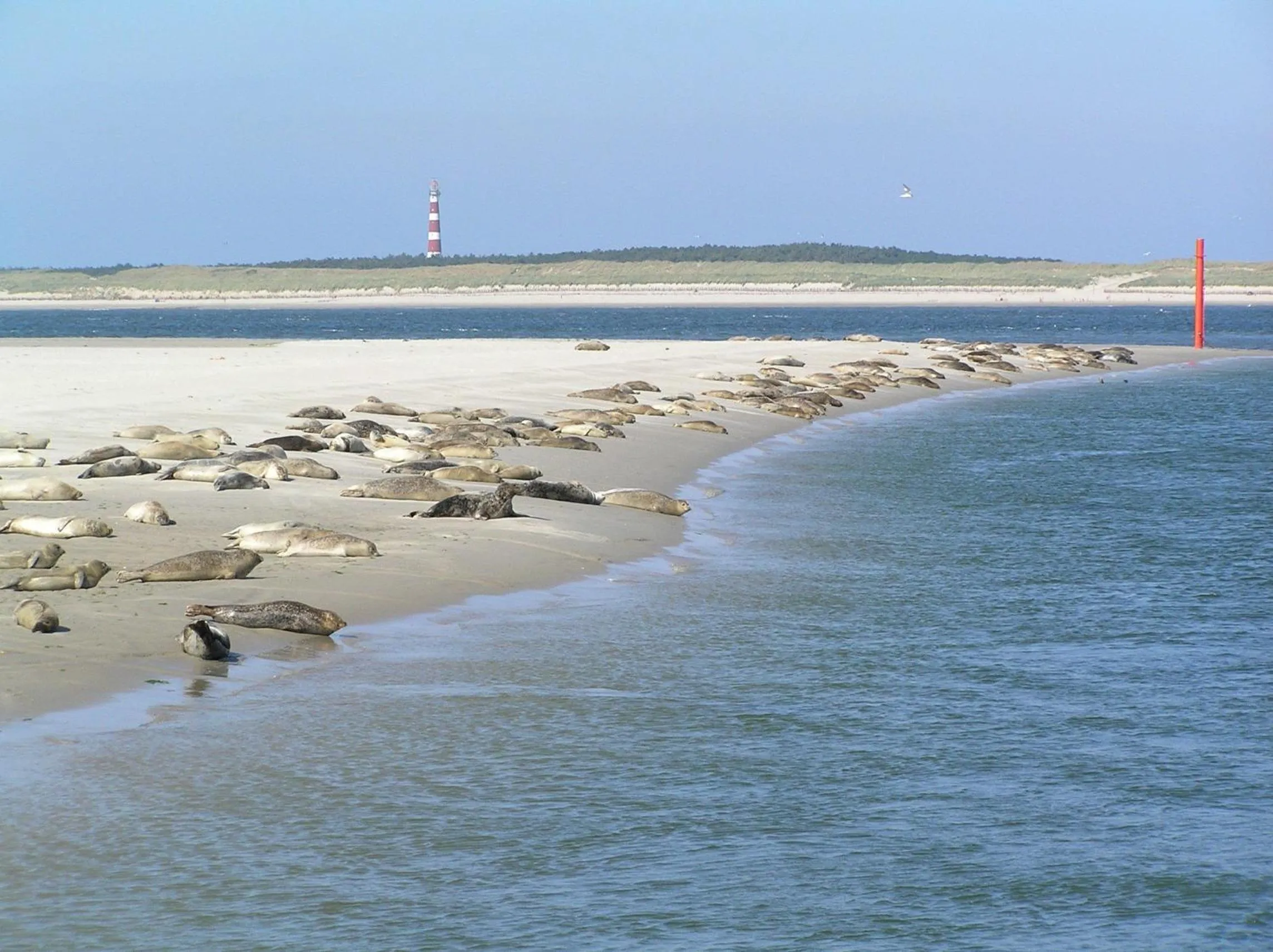 Beach in Sier aan Zee