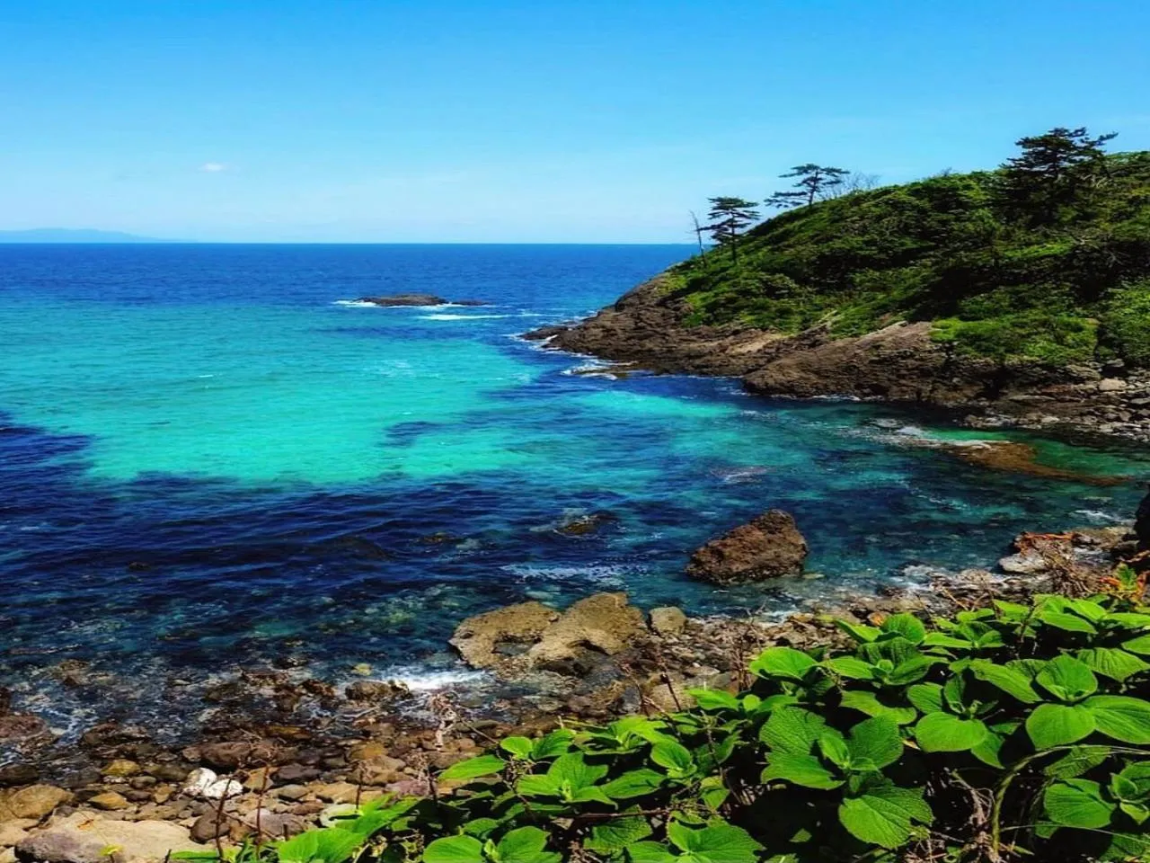 Natural landscape in LiVEMAX RESORT Ito Kawana