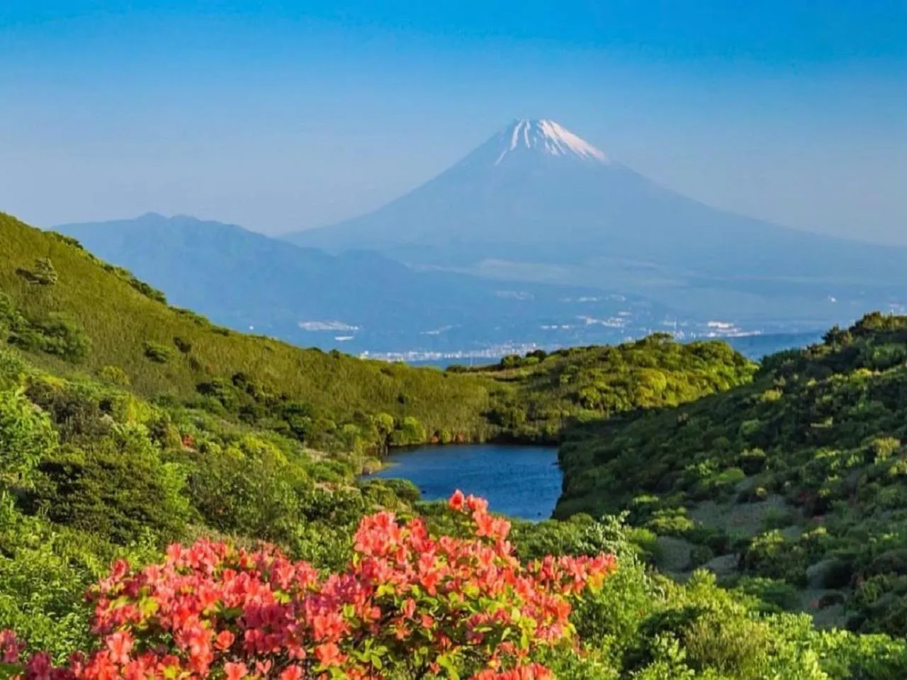 Natural landscape in LiVEMAX RESORT Ito Kawana