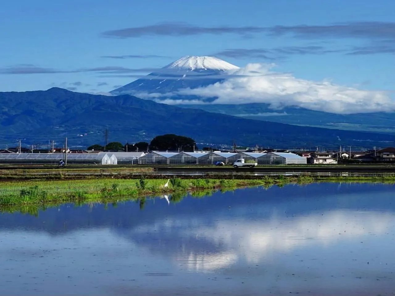 Natural landscape in LiVEMAX RESORT Ito Kawana