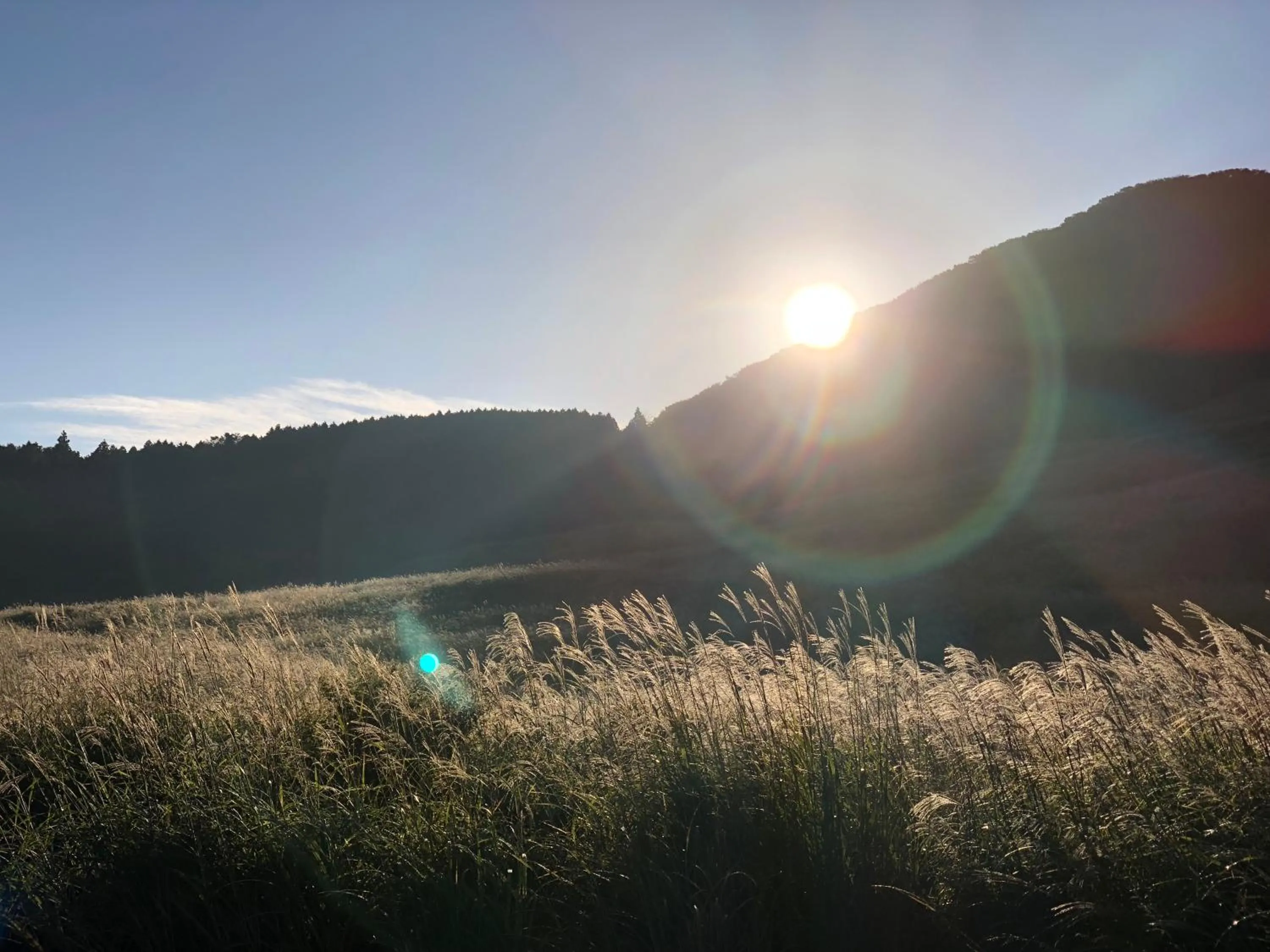 Natural landscape in Recove Hakone