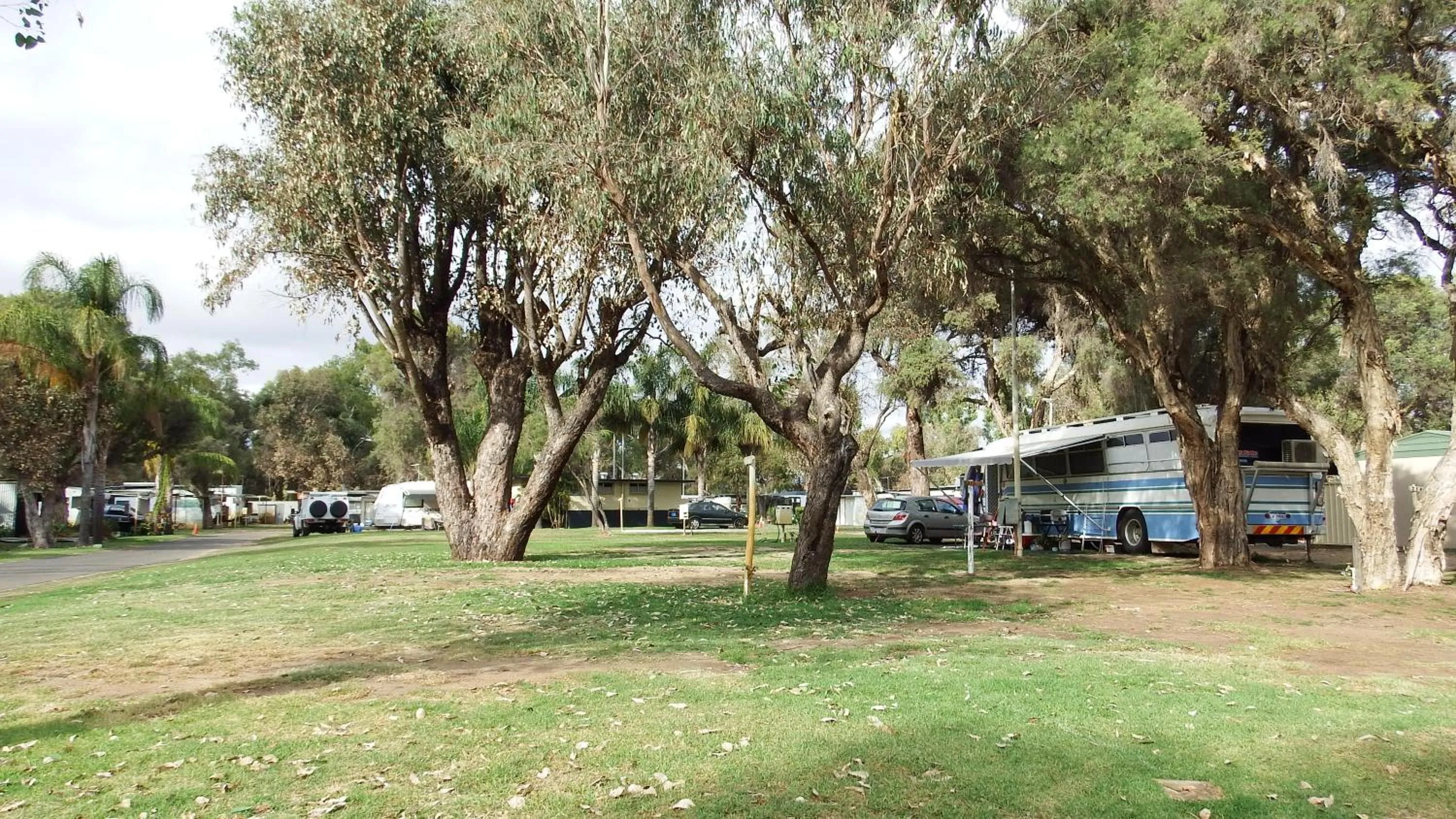 Garden in Australind Tourist Park