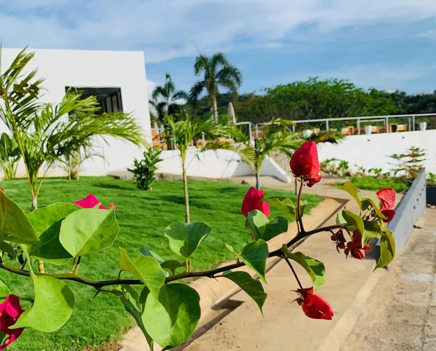 Garden in Villa Francia