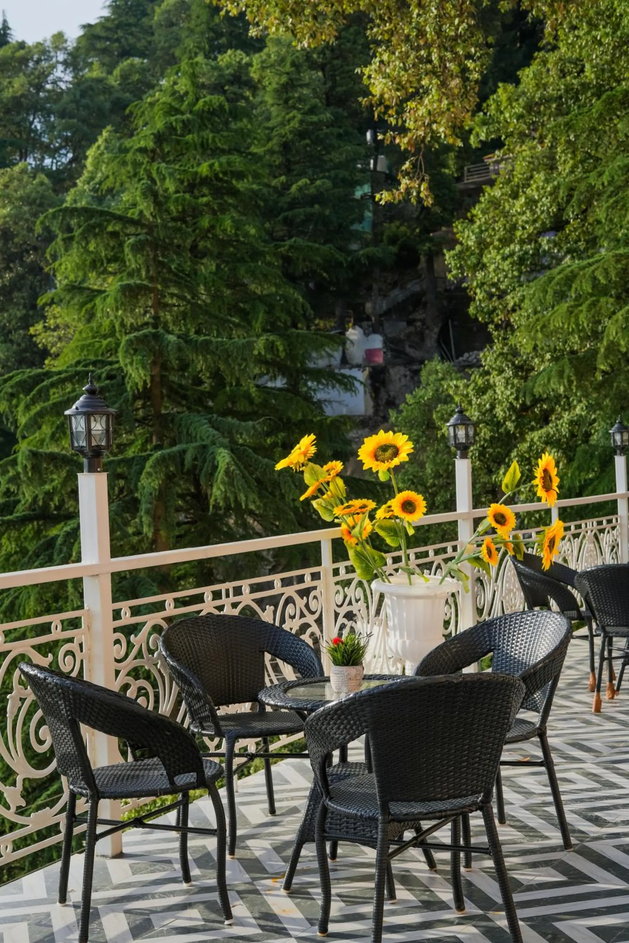 Restaurant/places to eat in Pax Hotel Spring Solance 200 mtr from Gandhi Chowk Khajjiyar Road