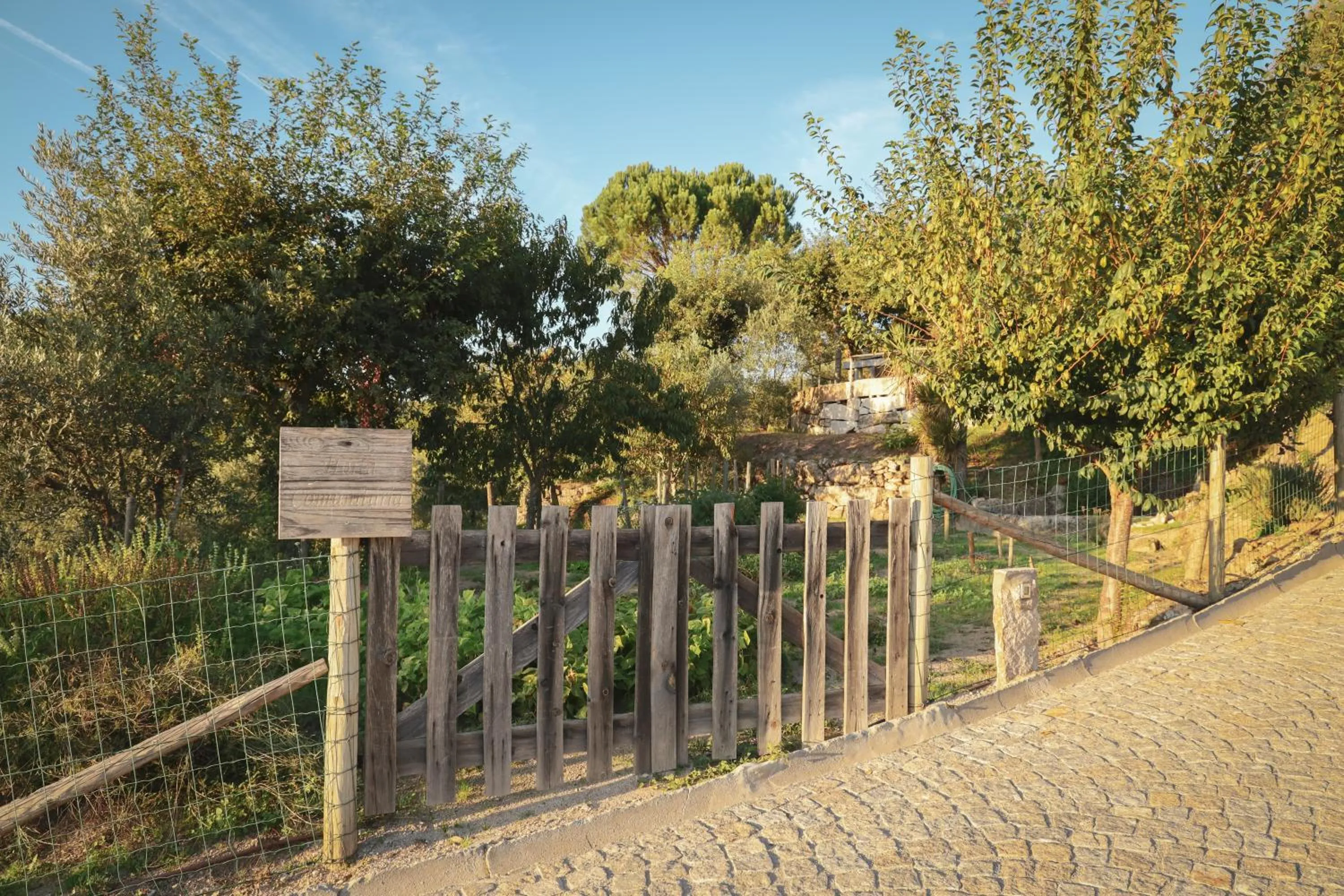 Natural landscape in I Love Dão Casas Da Fraga